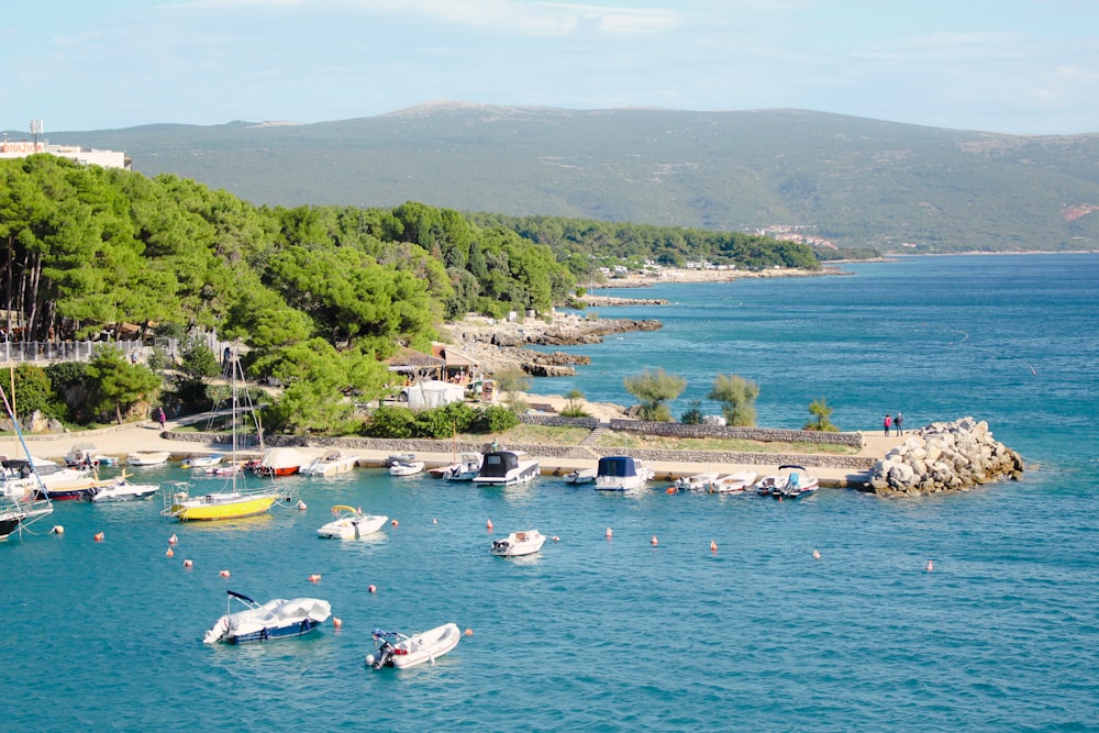 a body of water with boats and a hill in the background