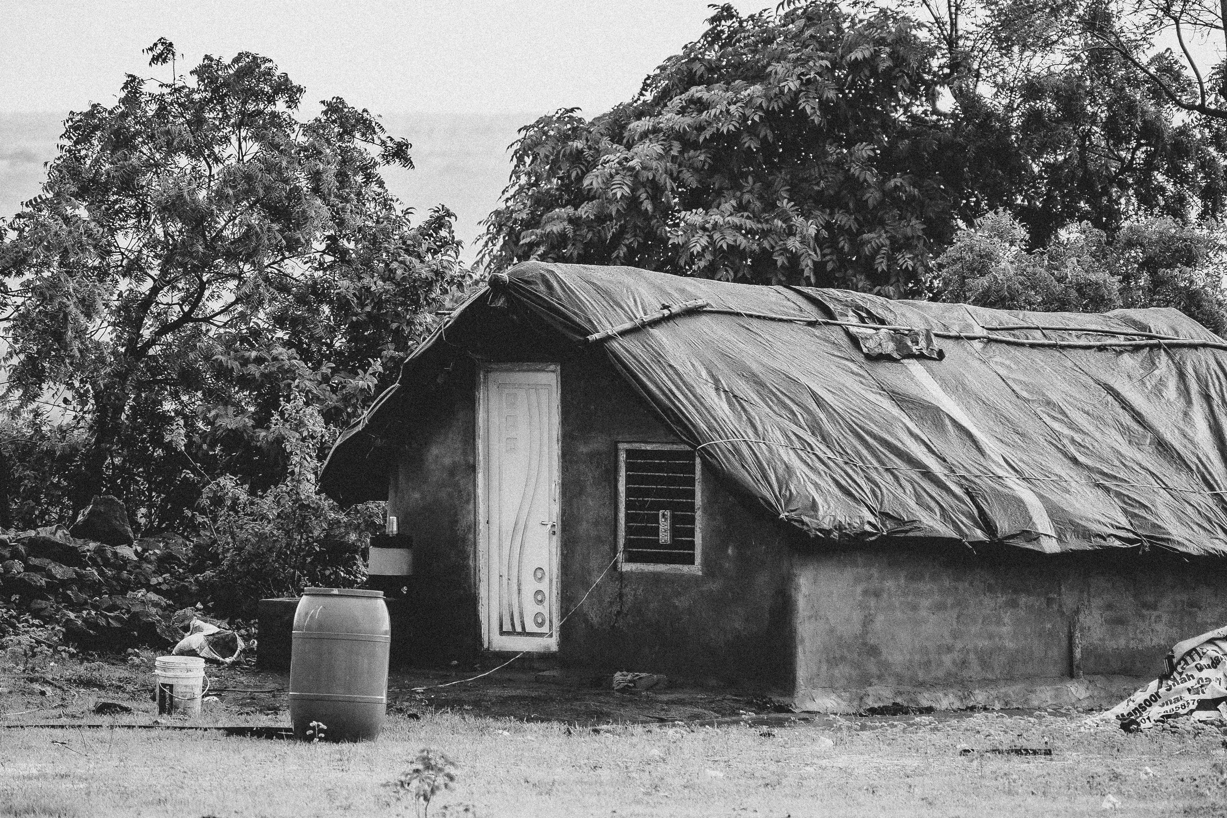 Photo by hh_danishpuri