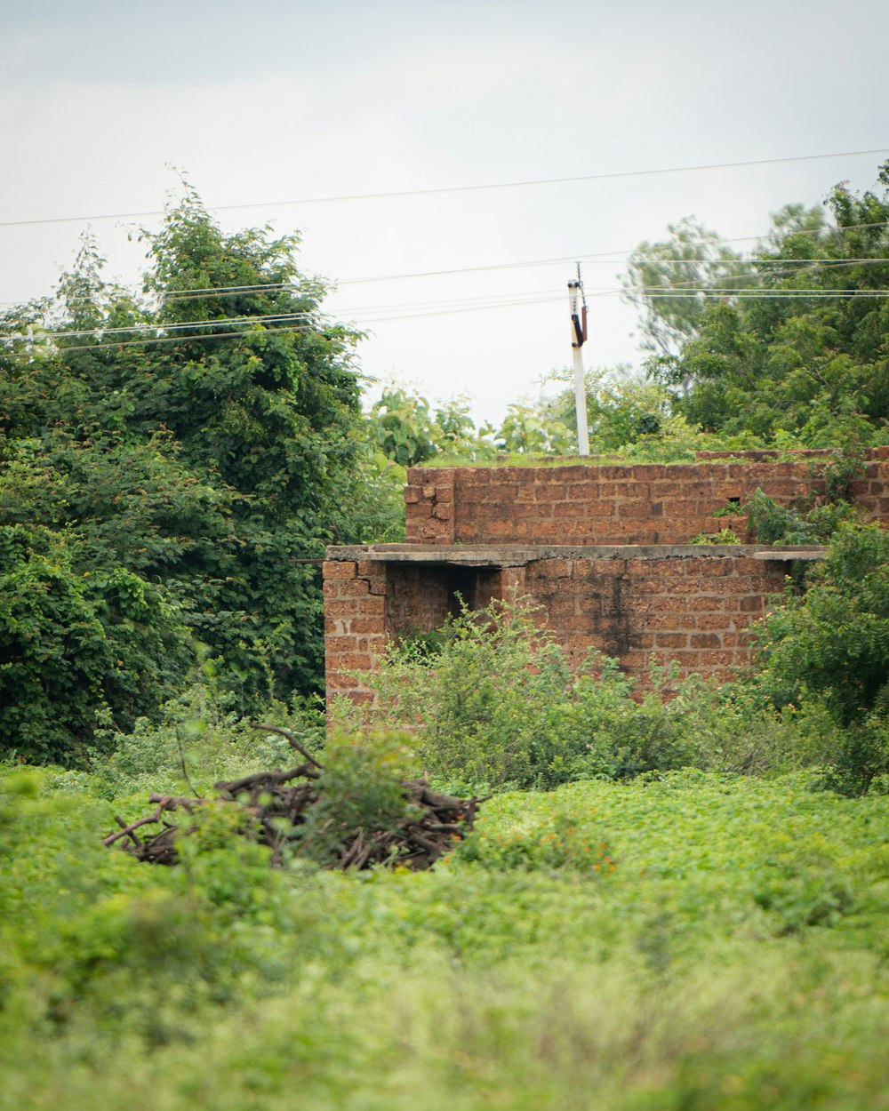 a brick building with trees around it