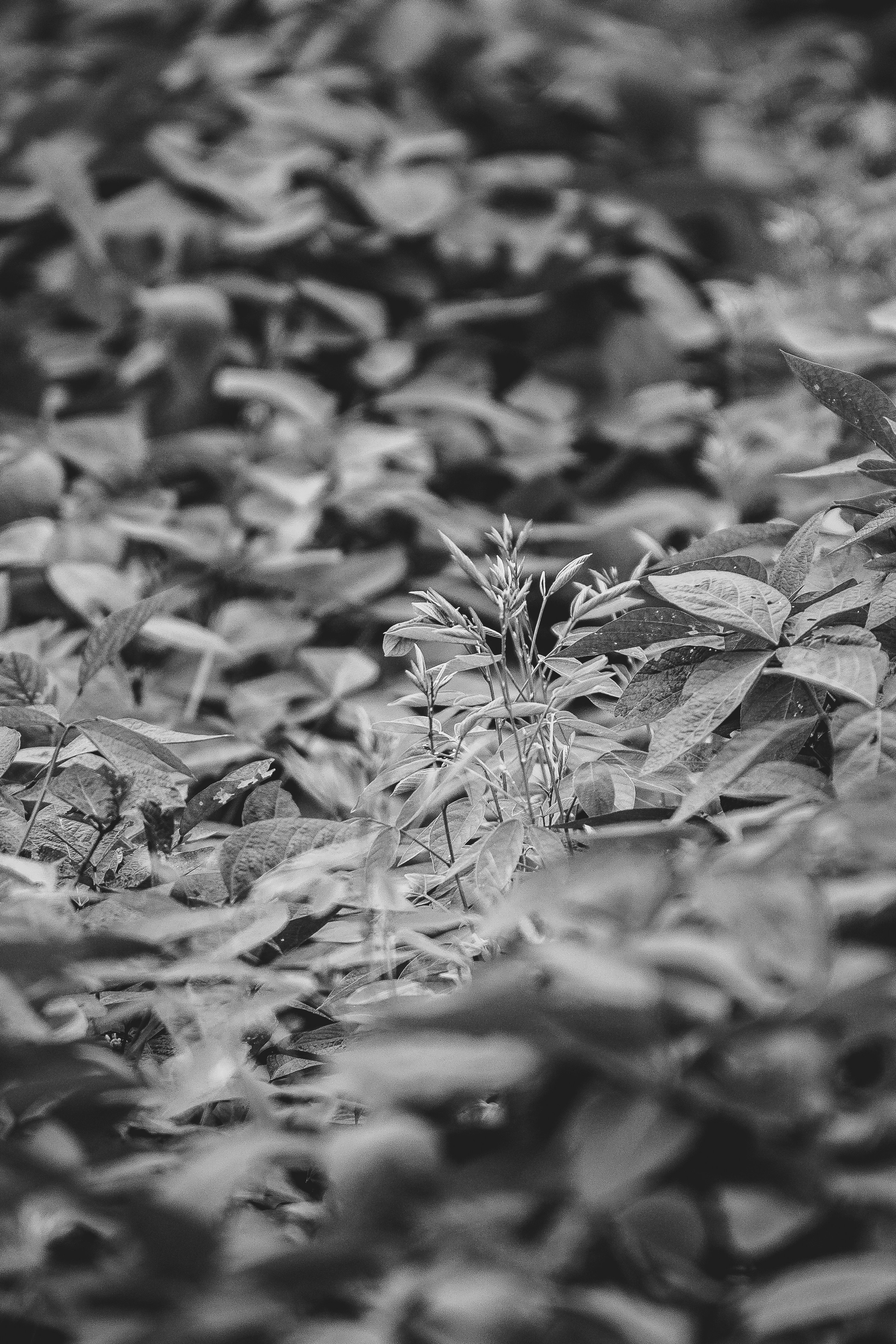 Photo by hh_danishpuri