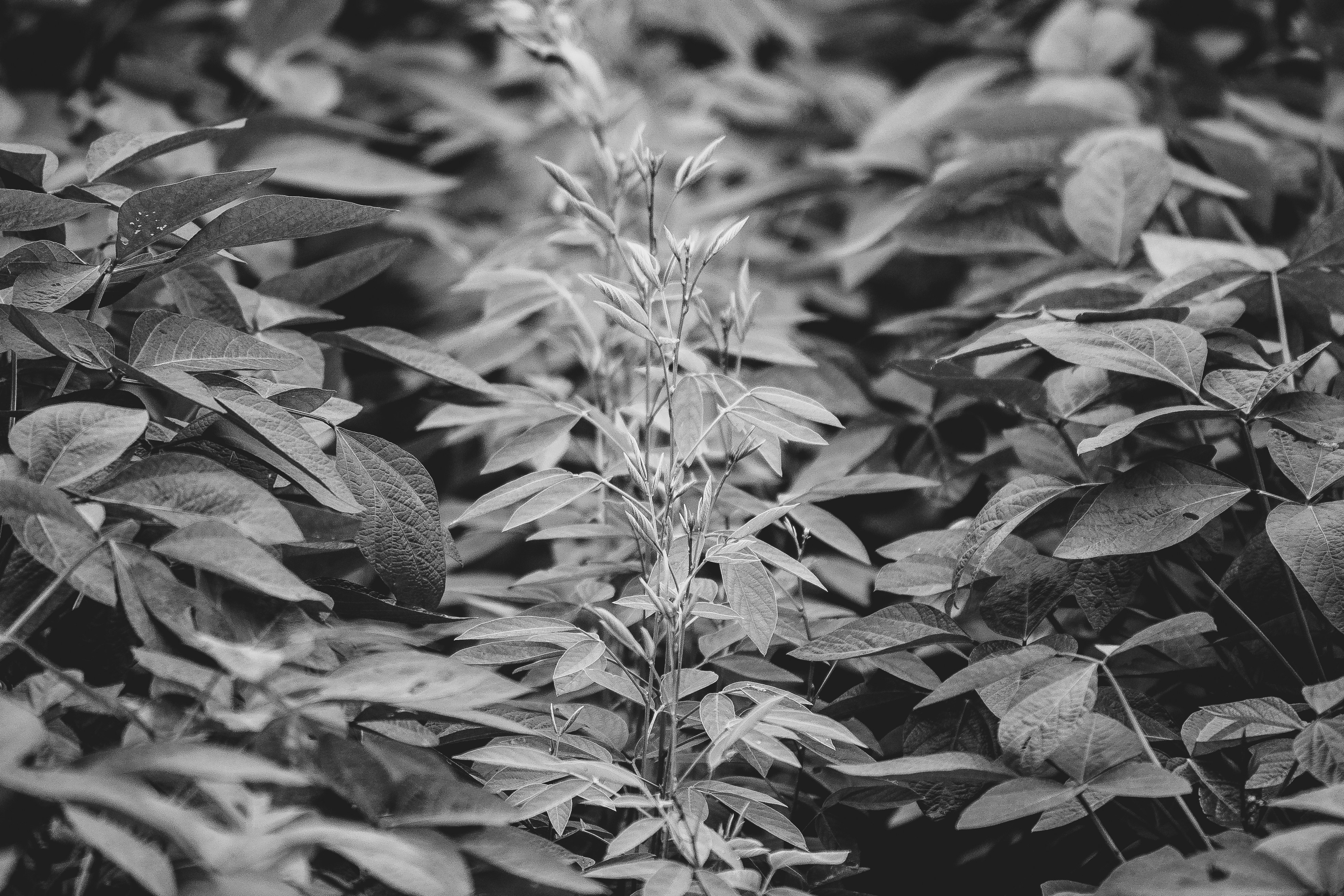 Photo by hh_danishpuri