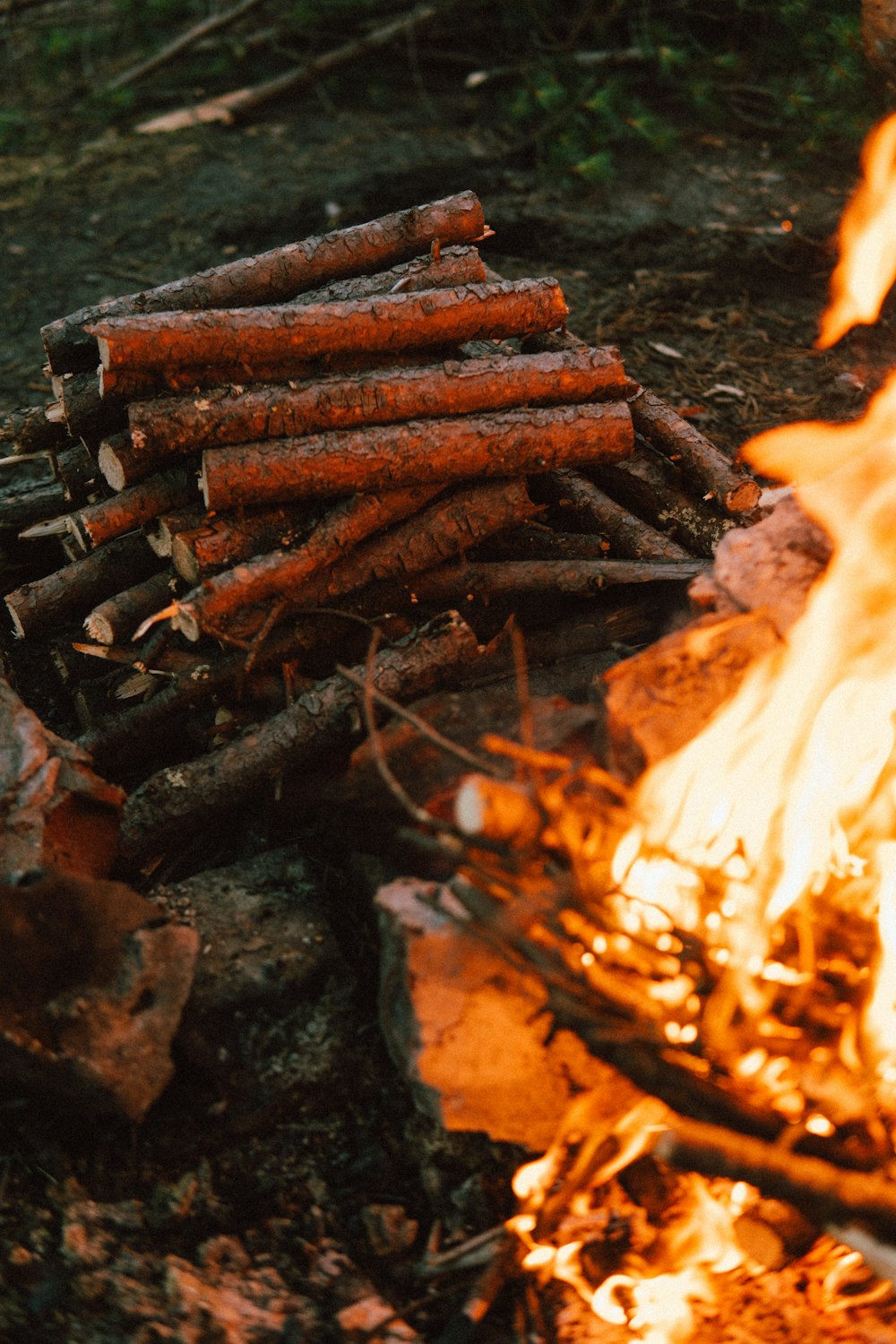 a pile of sausages