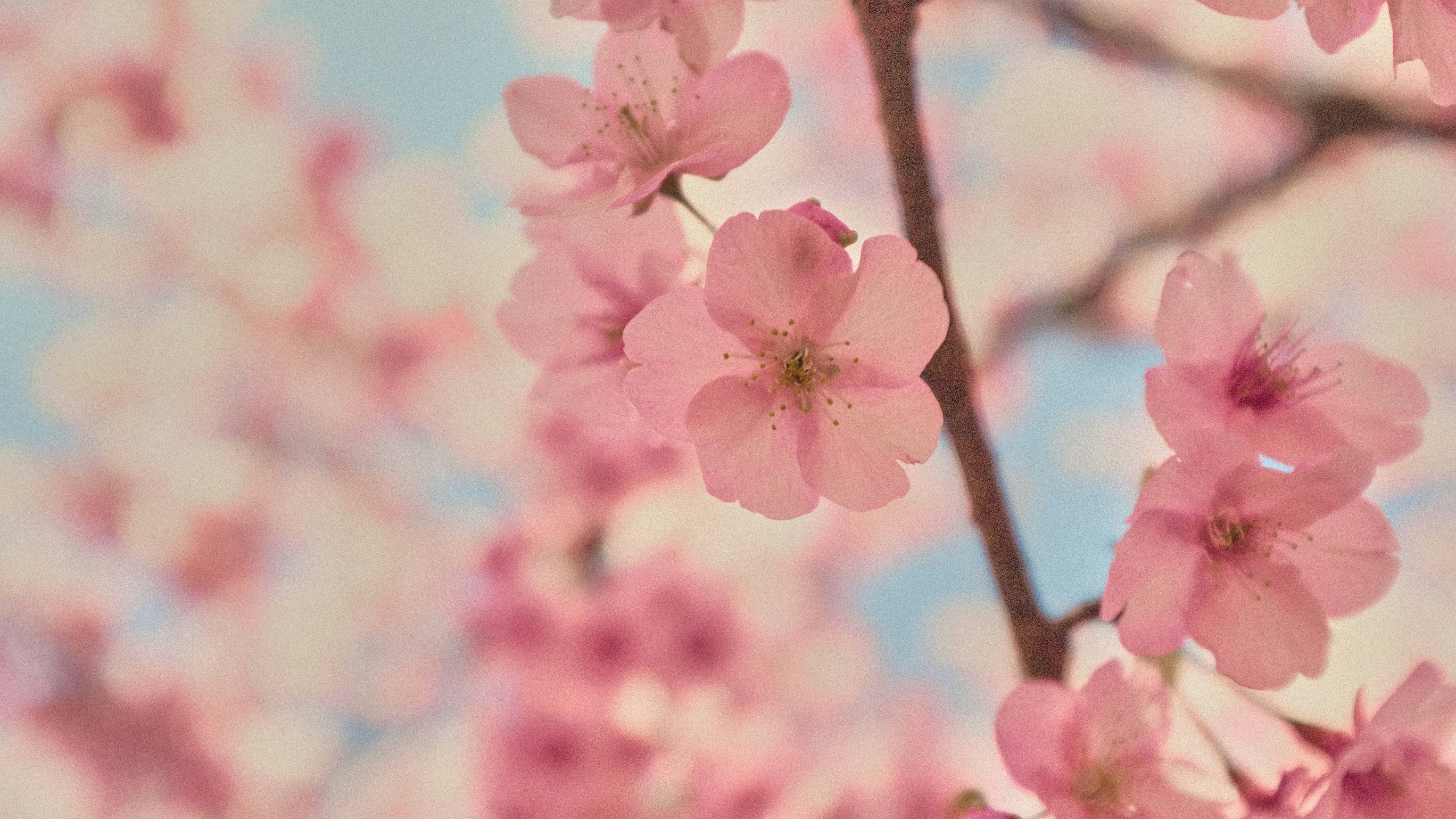 Photo by shadrinaizzati