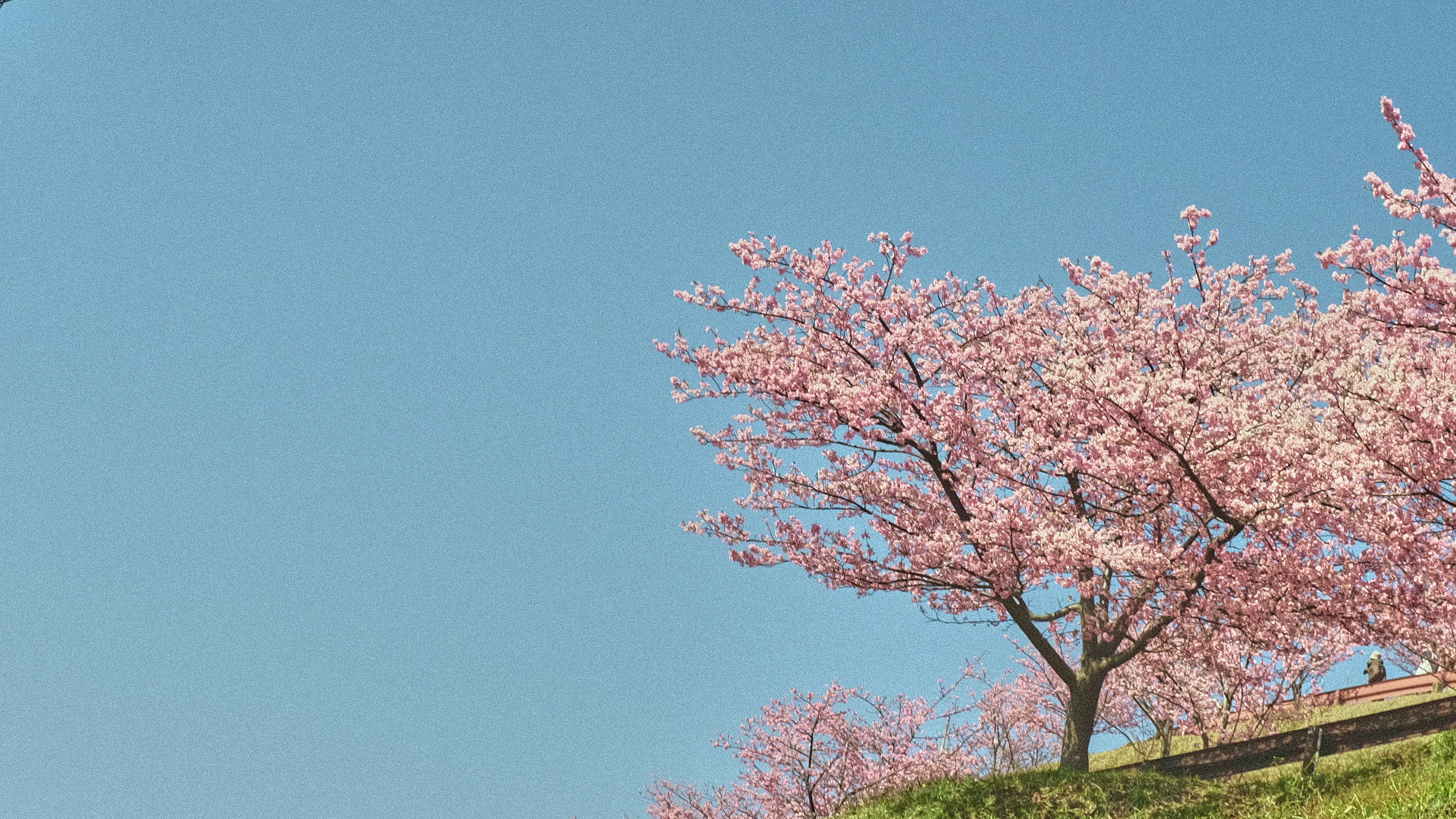 Photo by shadrinaizzati