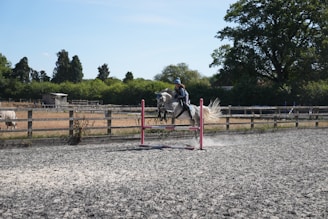 Rider jumping over a natural obstacle with dust flying in the air.