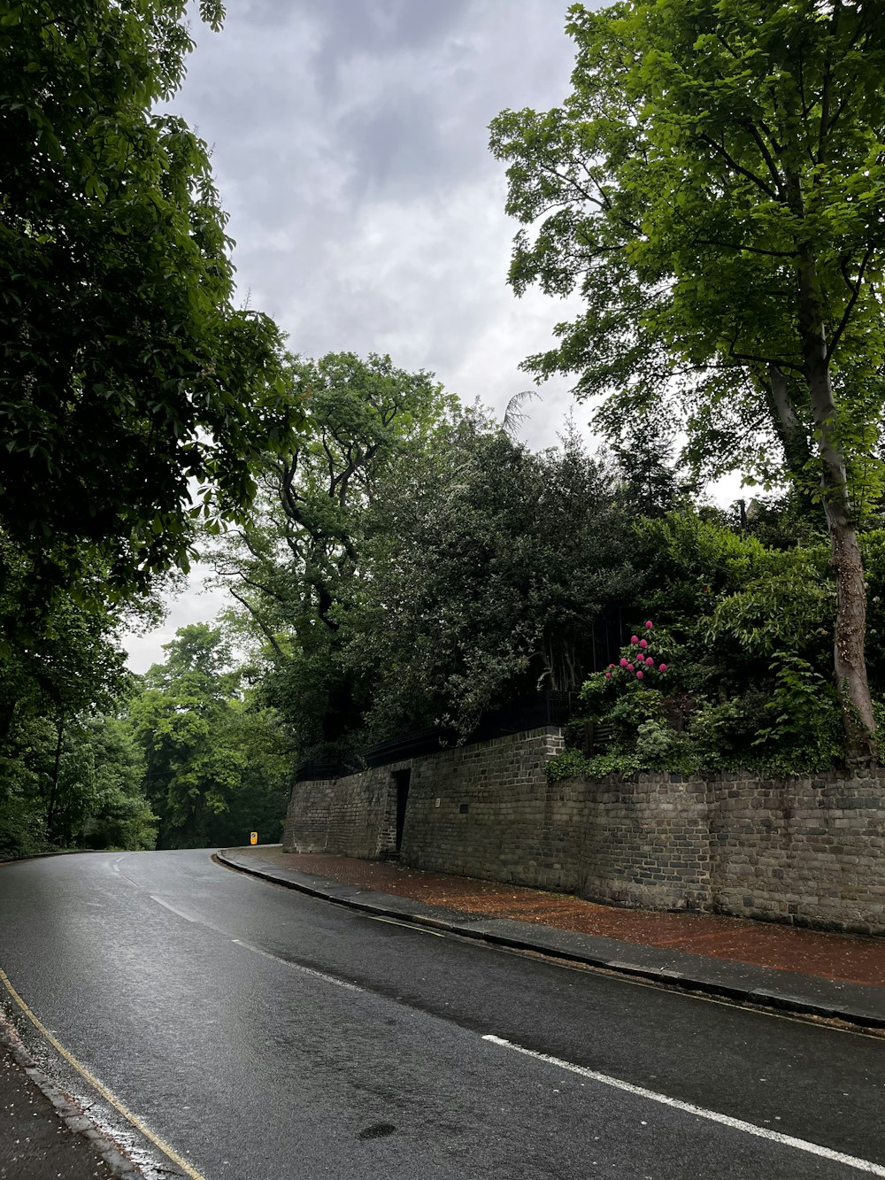 a road with trees on the side