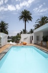 a swimming pool with palm trees