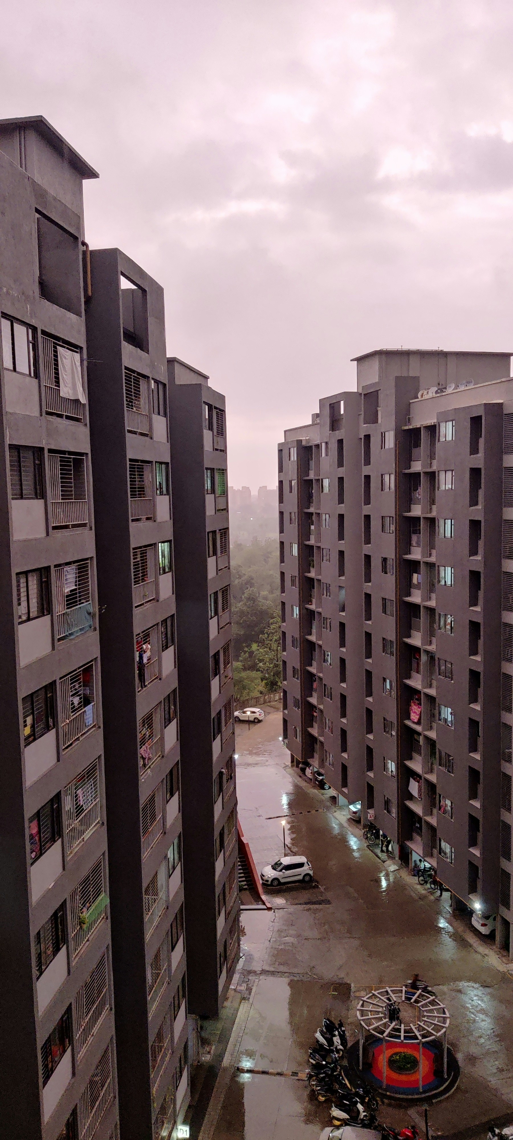 Photo by paliwalmuskan