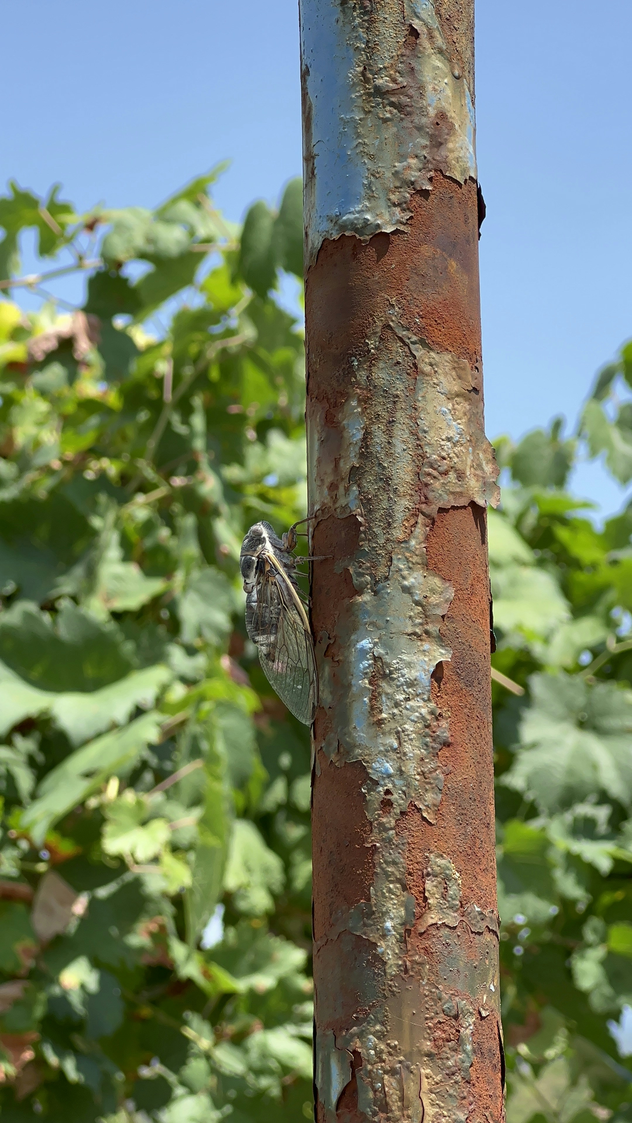 Photo by haveamikeday