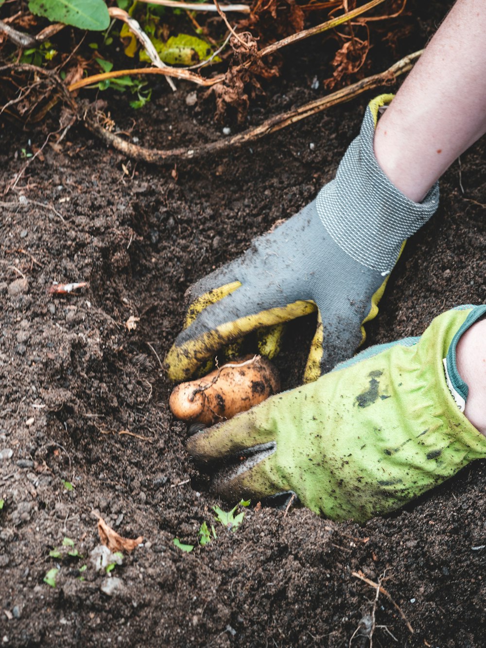 a person's feet in the dirt