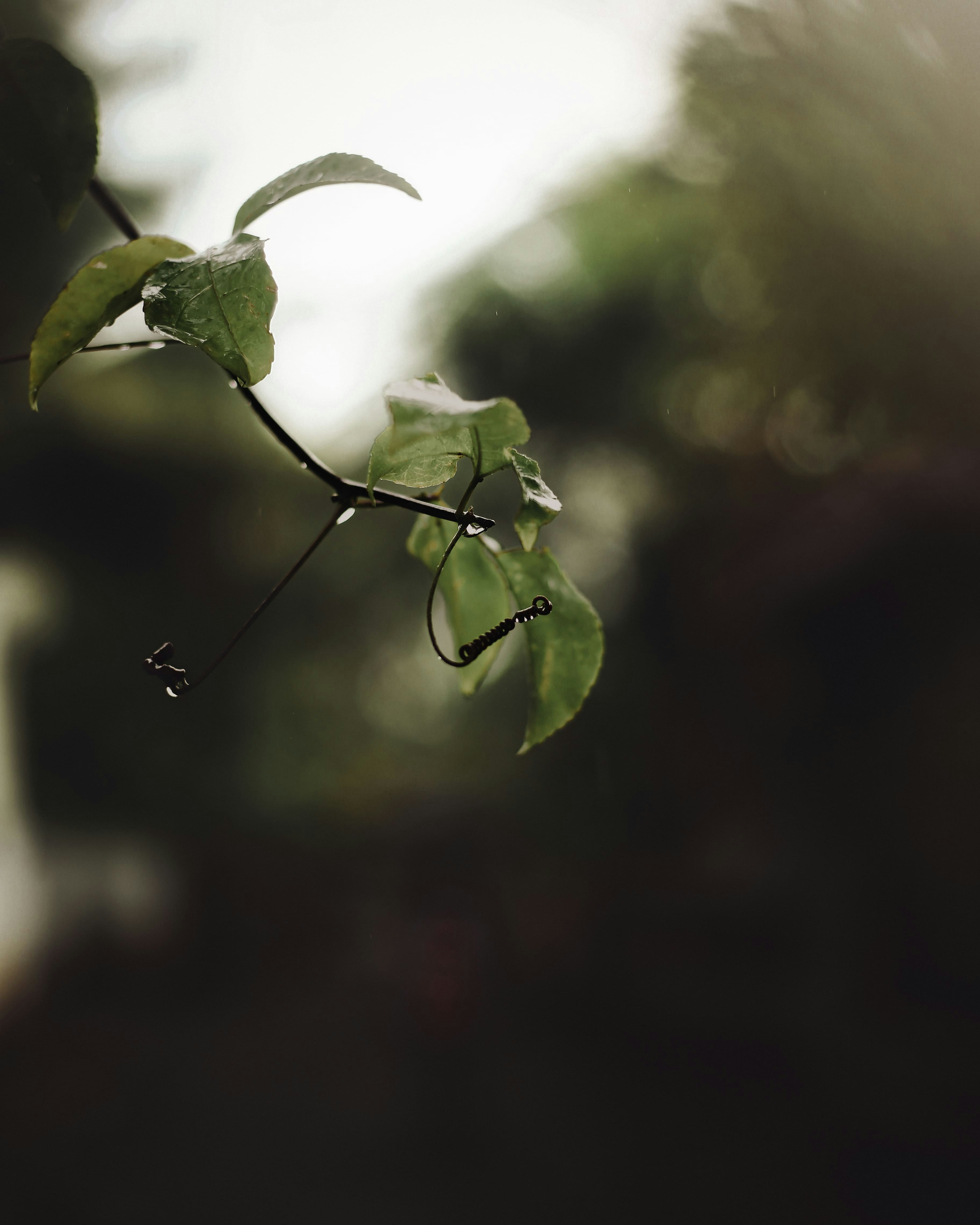 Photo by arununnikrishnan