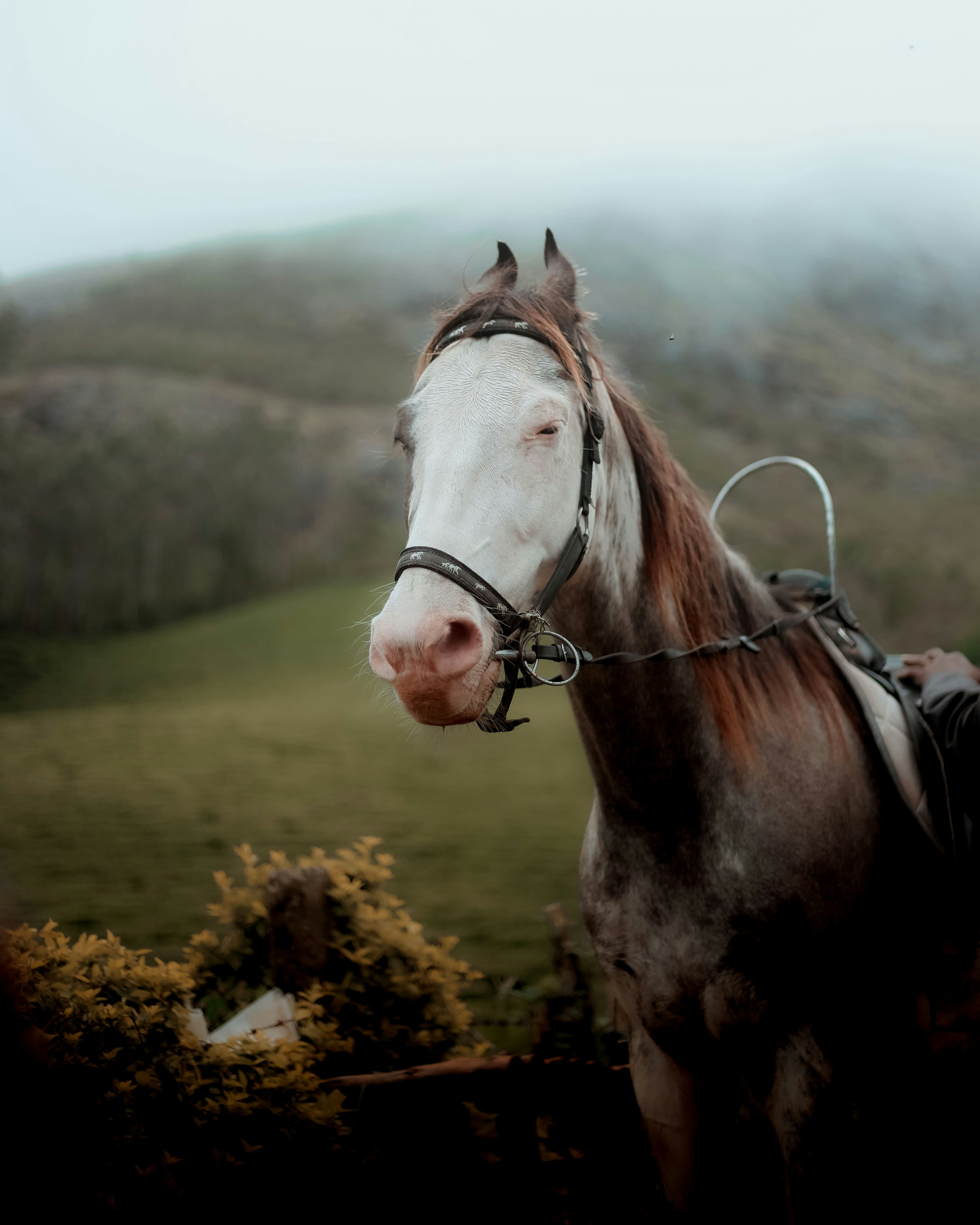 Photo by arununnikrishnan