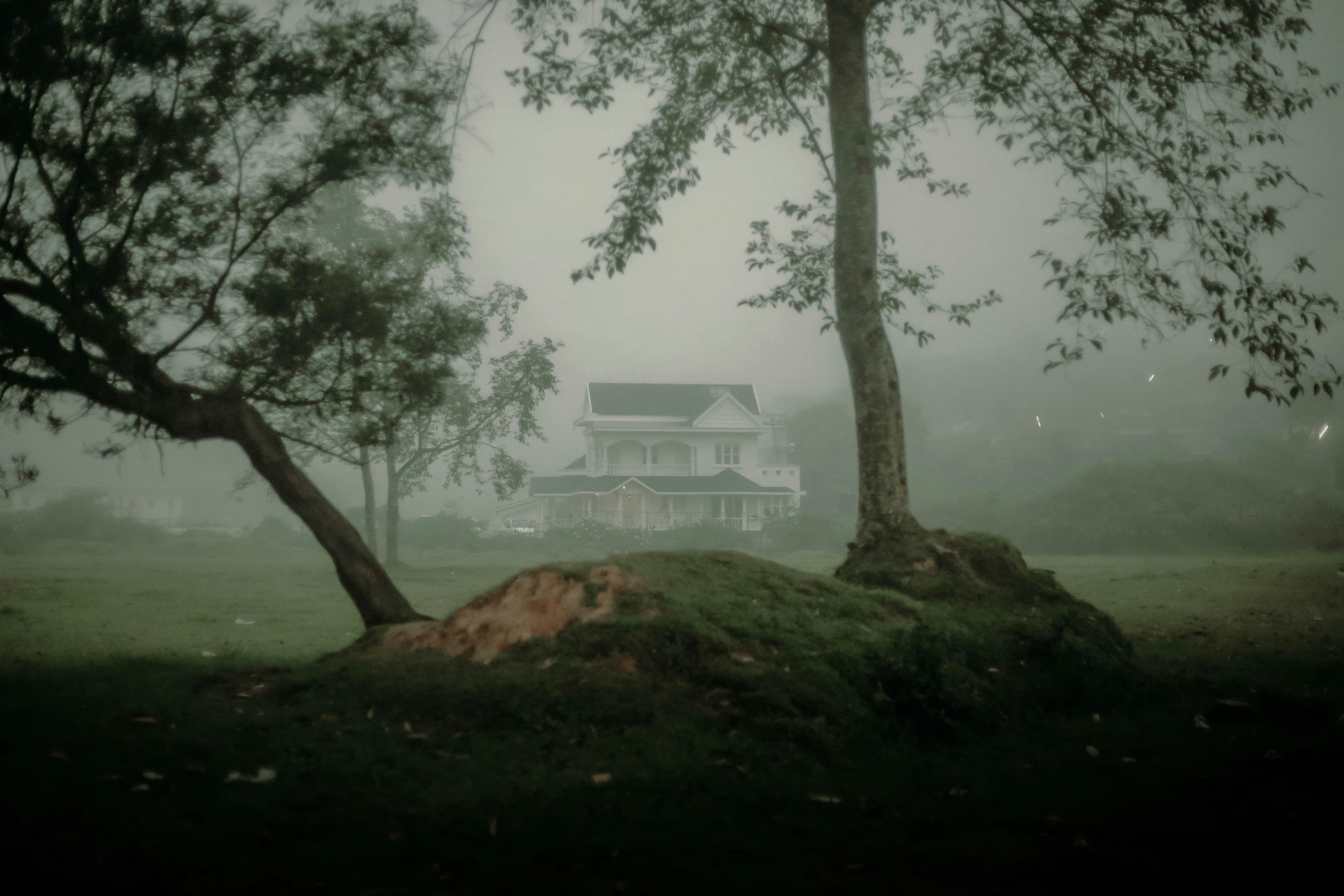 Photo by arununnikrishnan