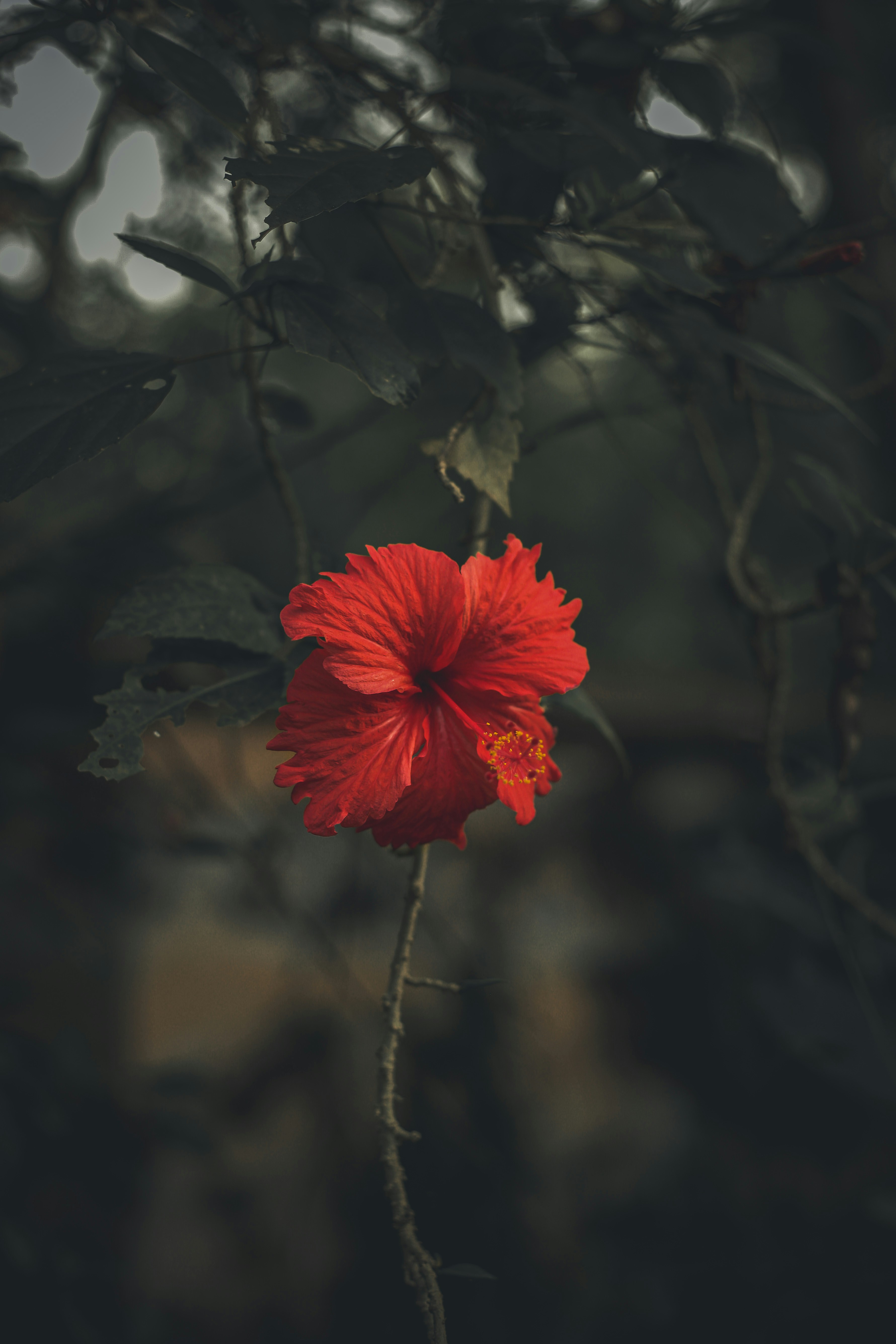 Photo by arununnikrishnan