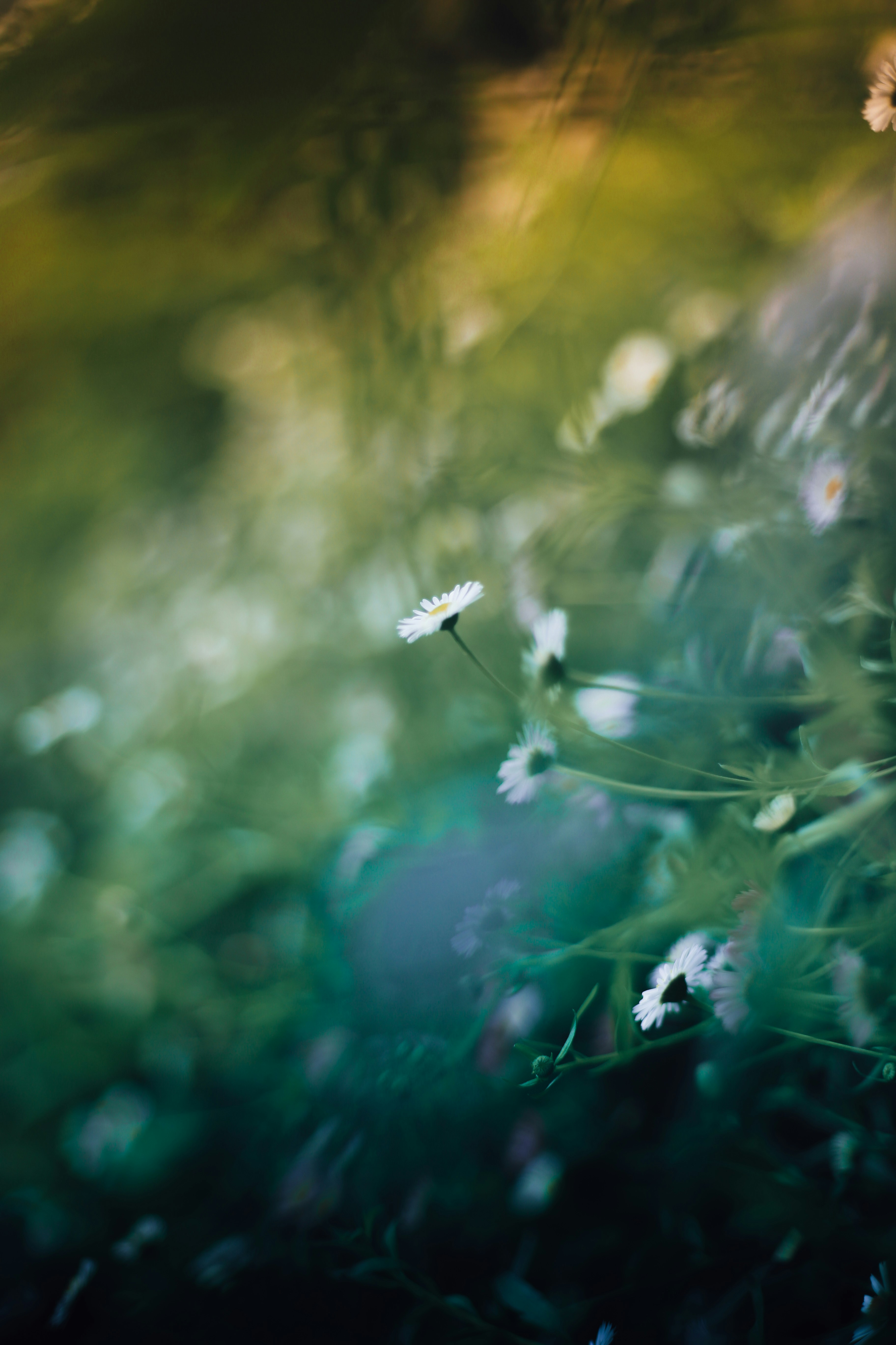 Photo by arununnikrishnan