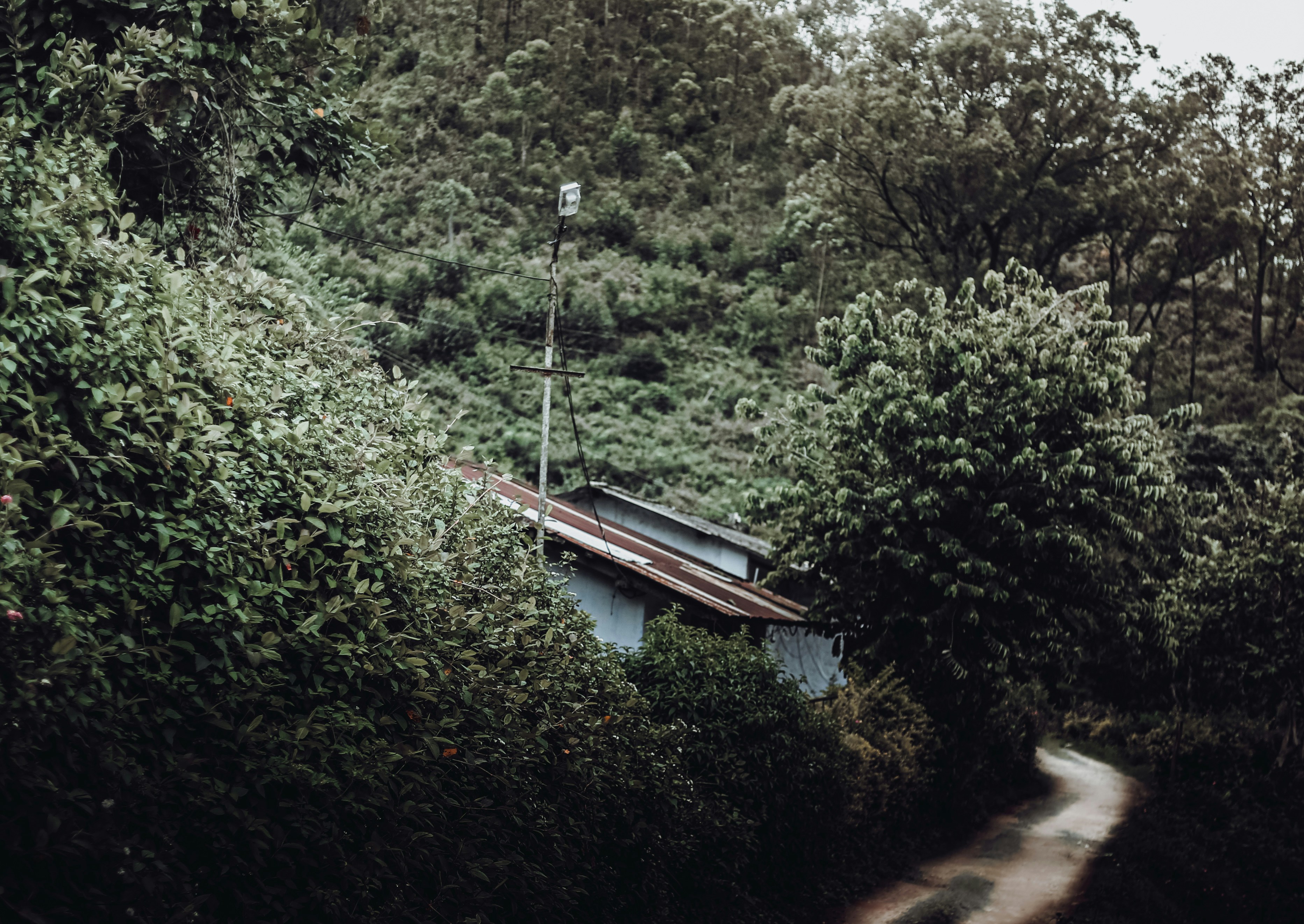 Photo by arununnikrishnan