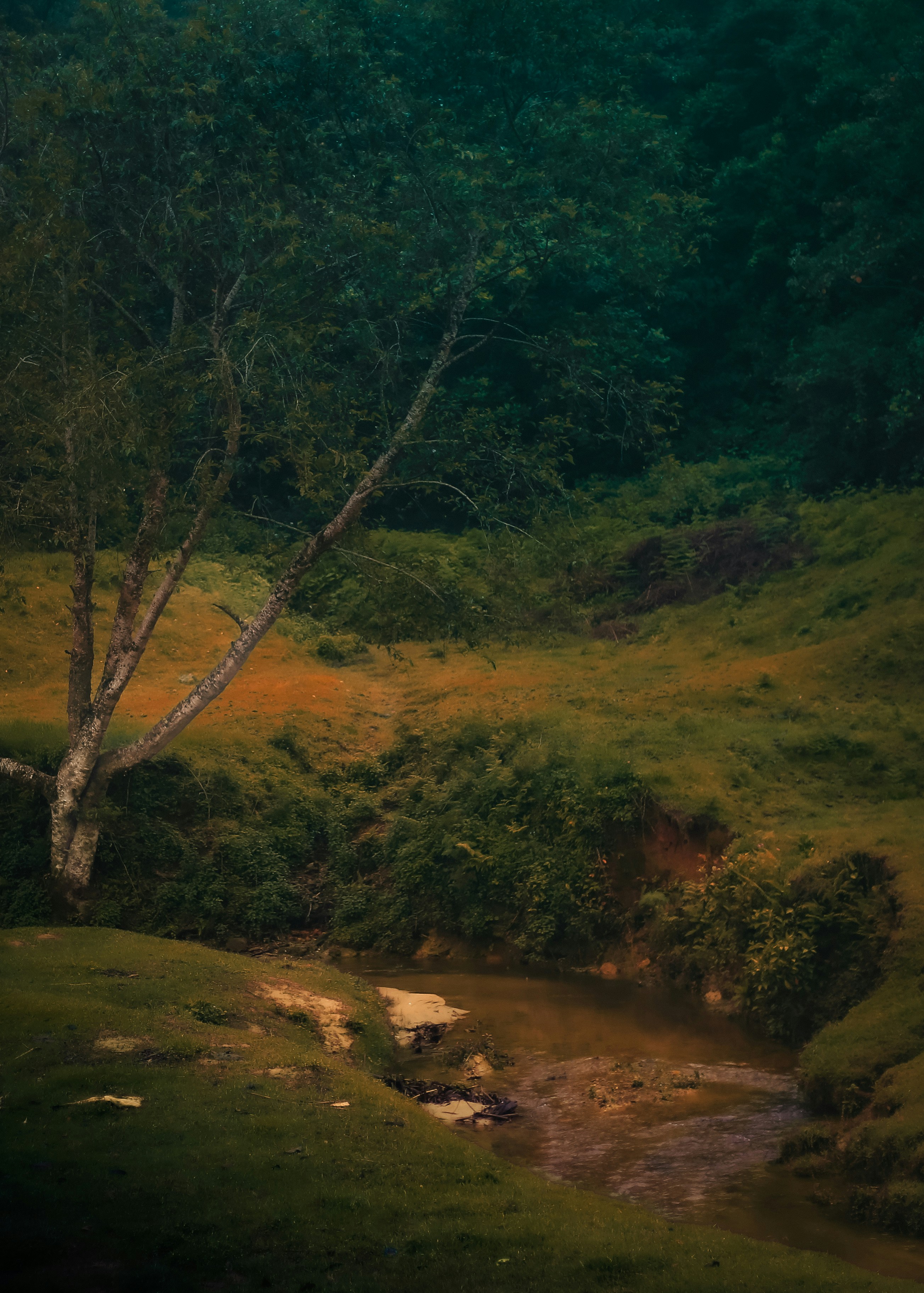 Photo by arununnikrishnan