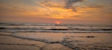 A stunning sunset over the ocean with whales breaching the surface.