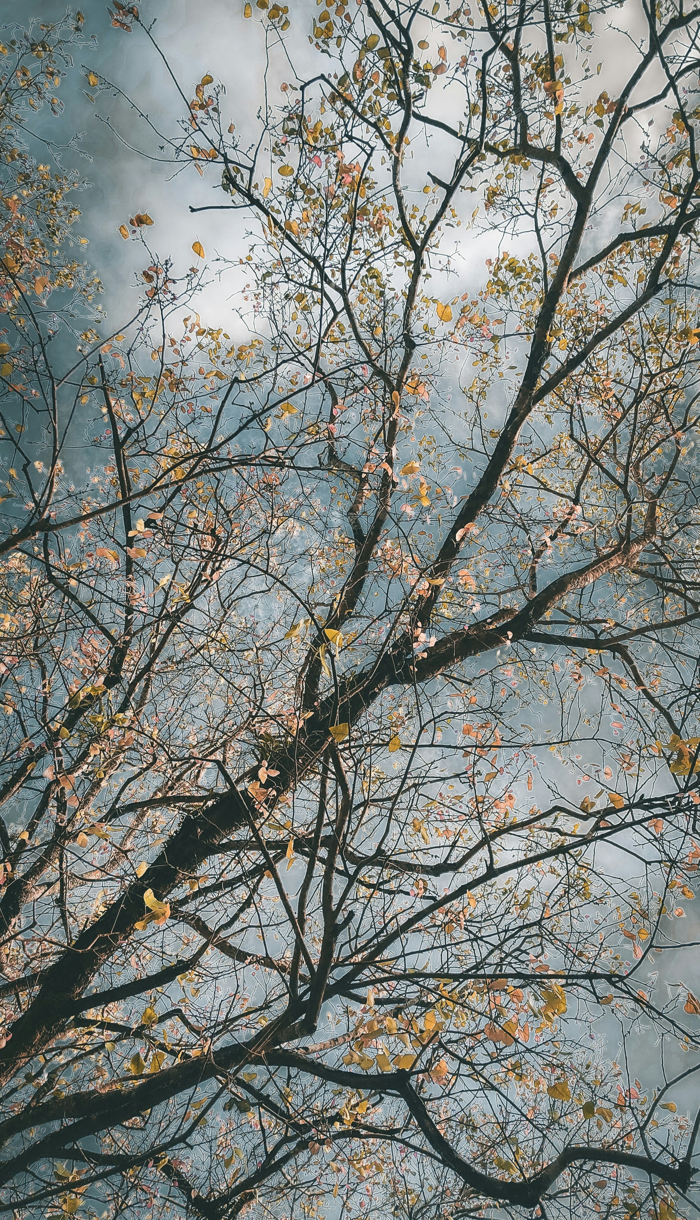 Photo by arununnikrishnan