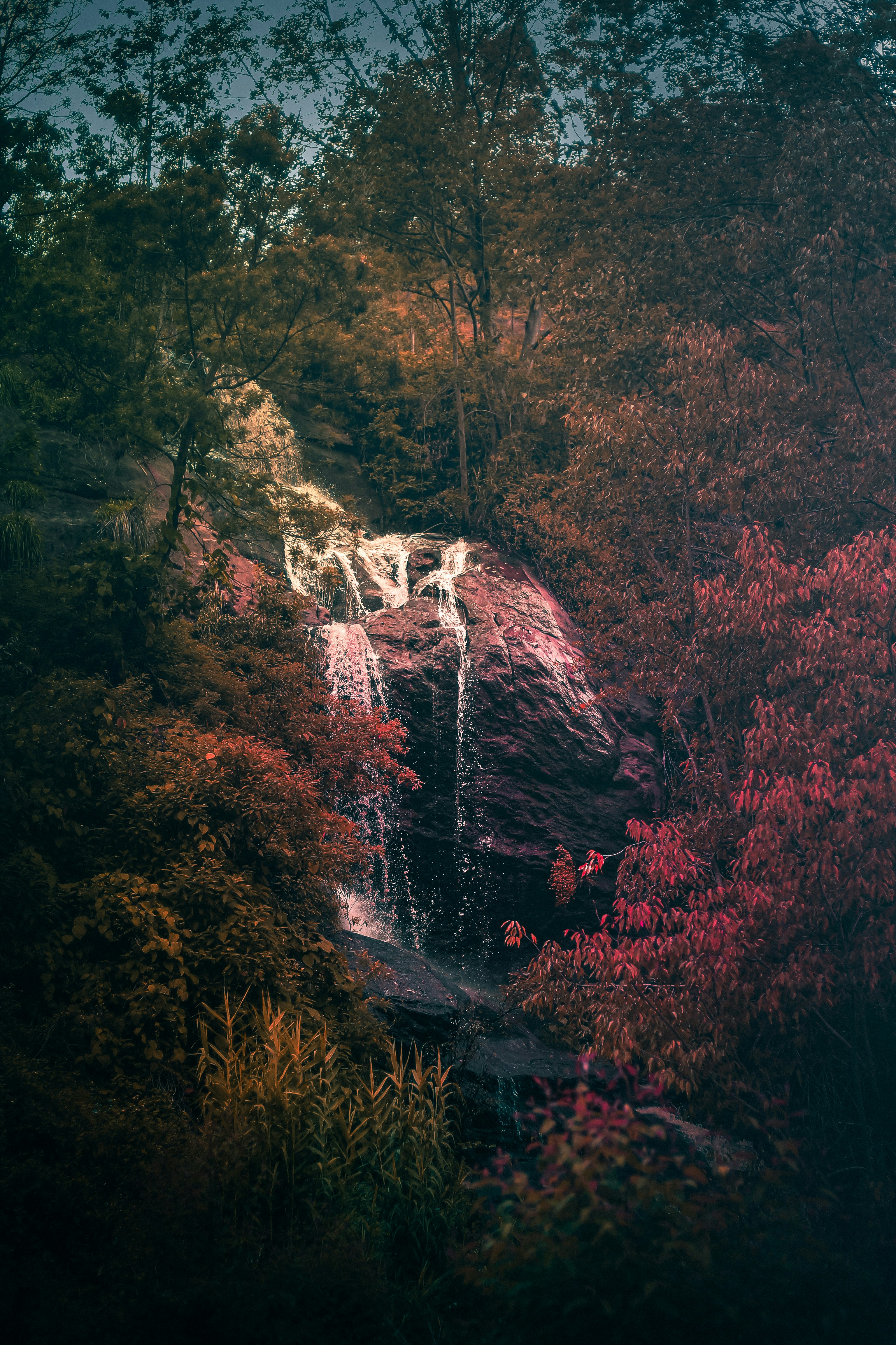 Photo by arununnikrishnan