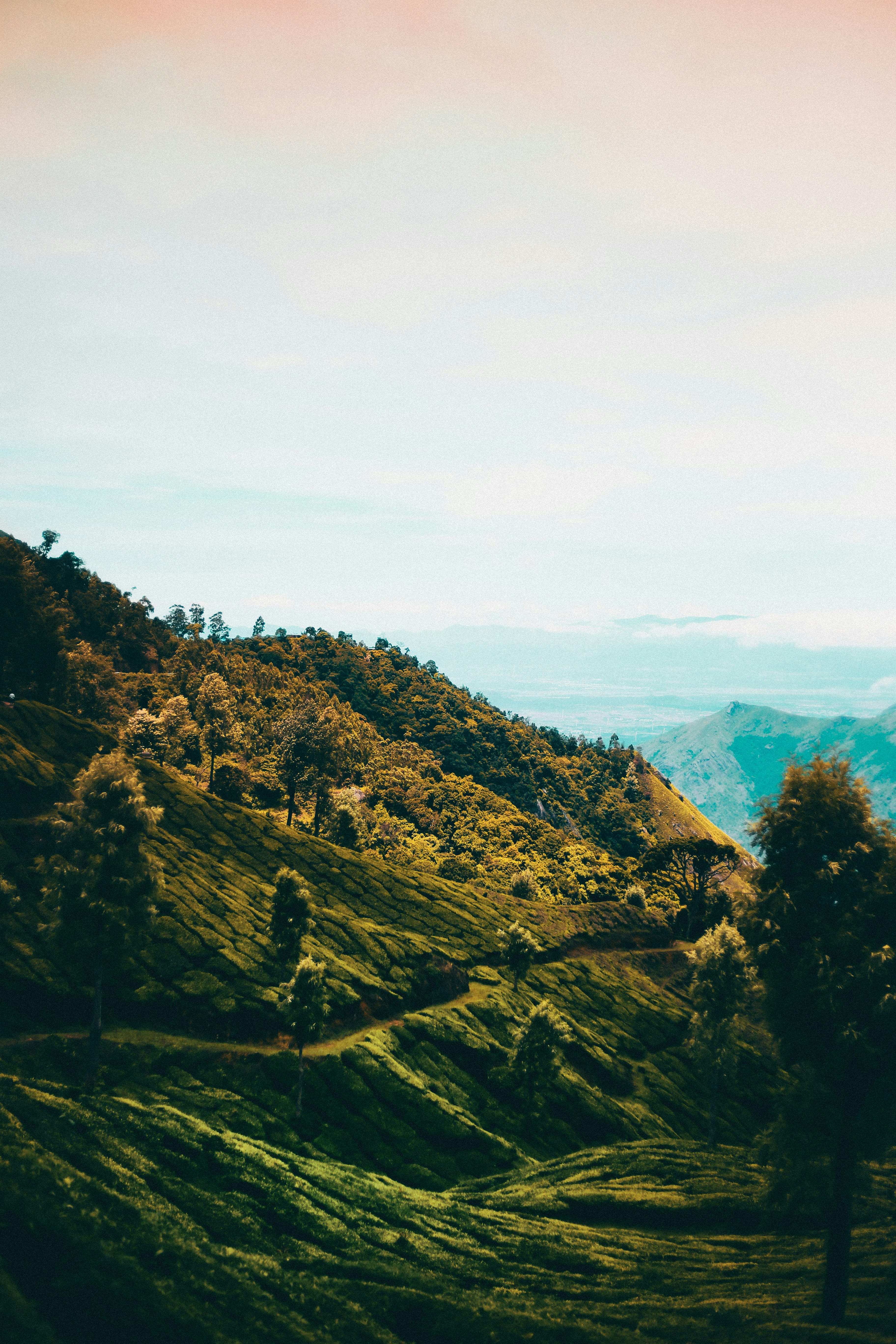 Photo by arununnikrishnan