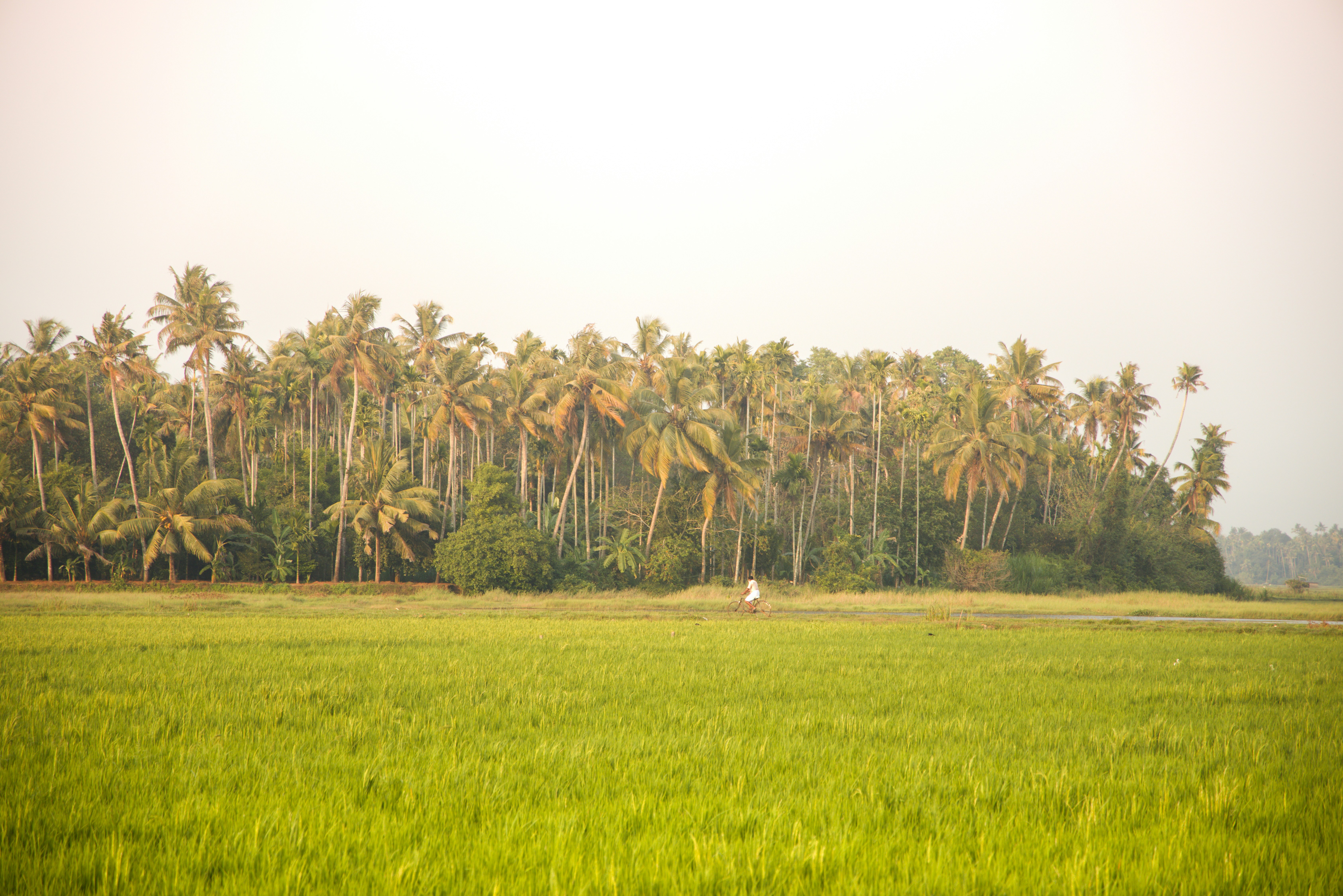 Photo by arununnikrishnan