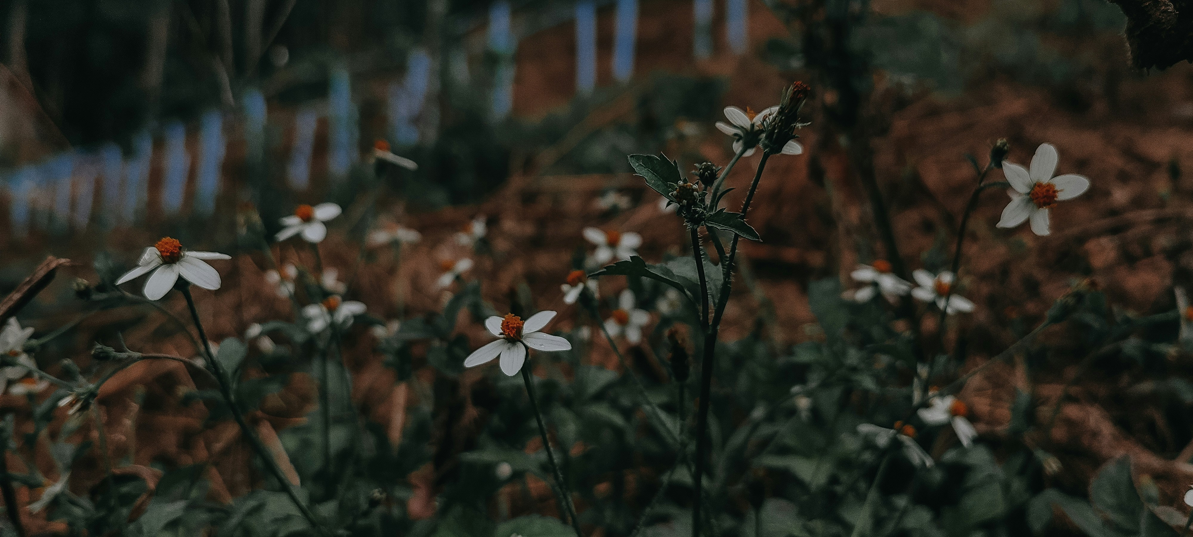 Photo by arununnikrishnan