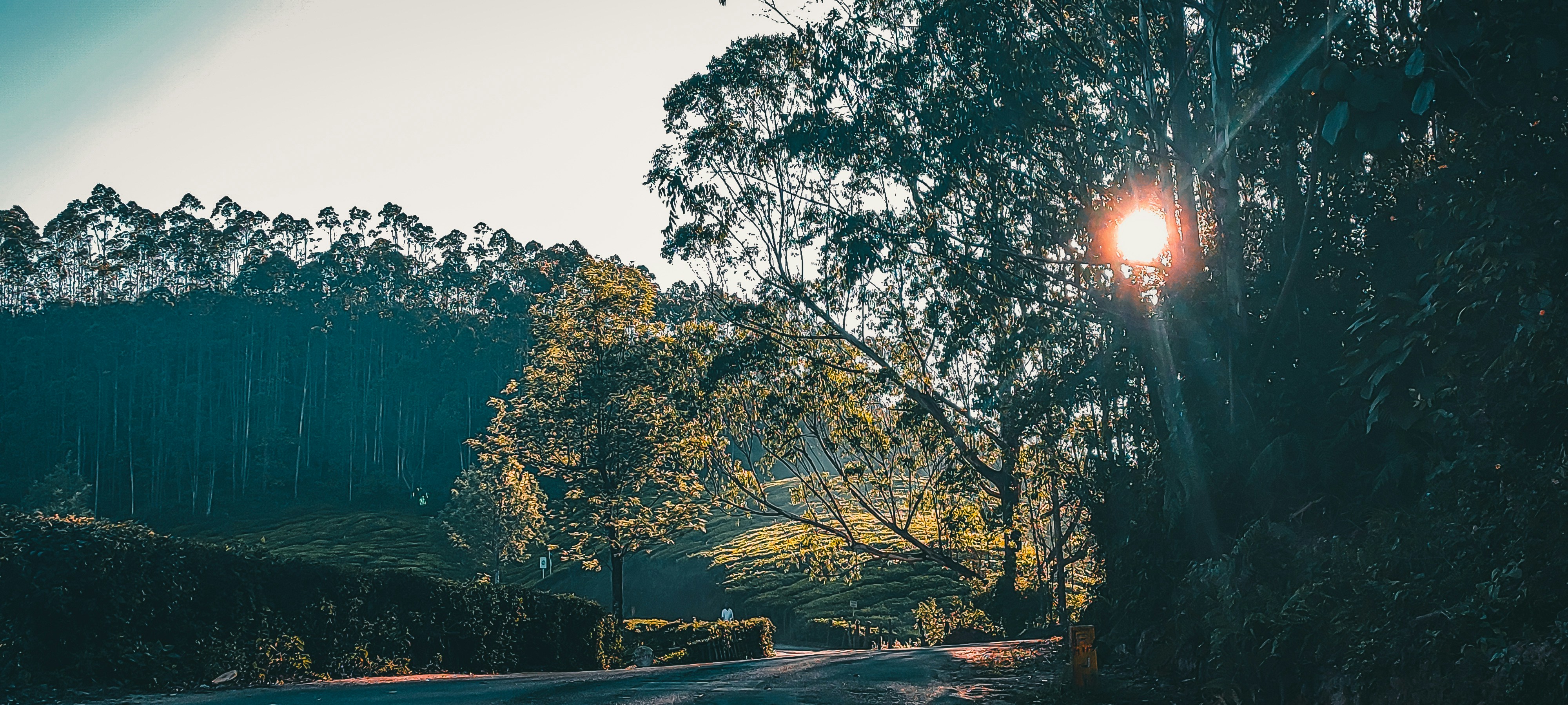 Photo by arununnikrishnan
