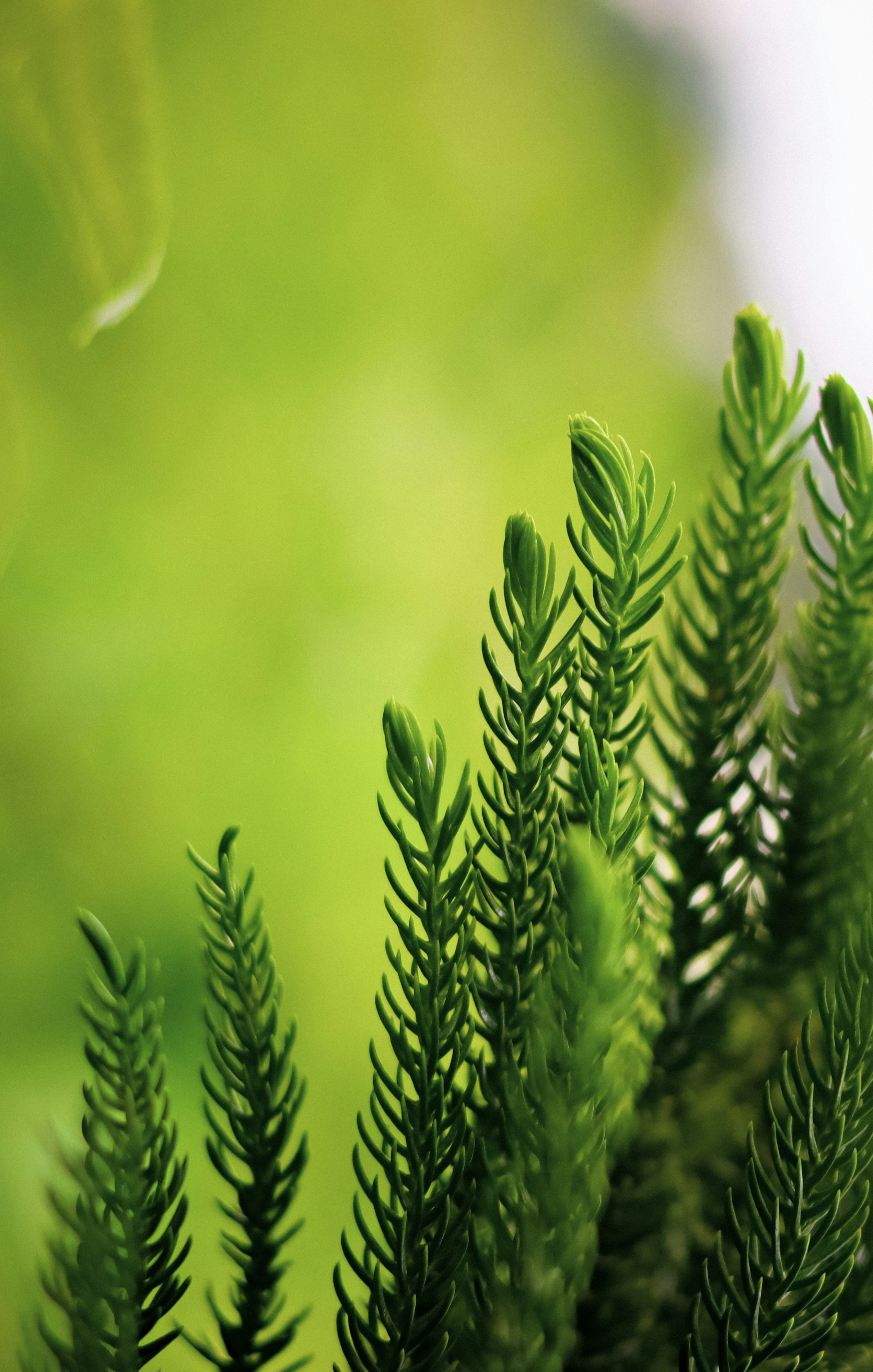 Photo by soonamwooeser