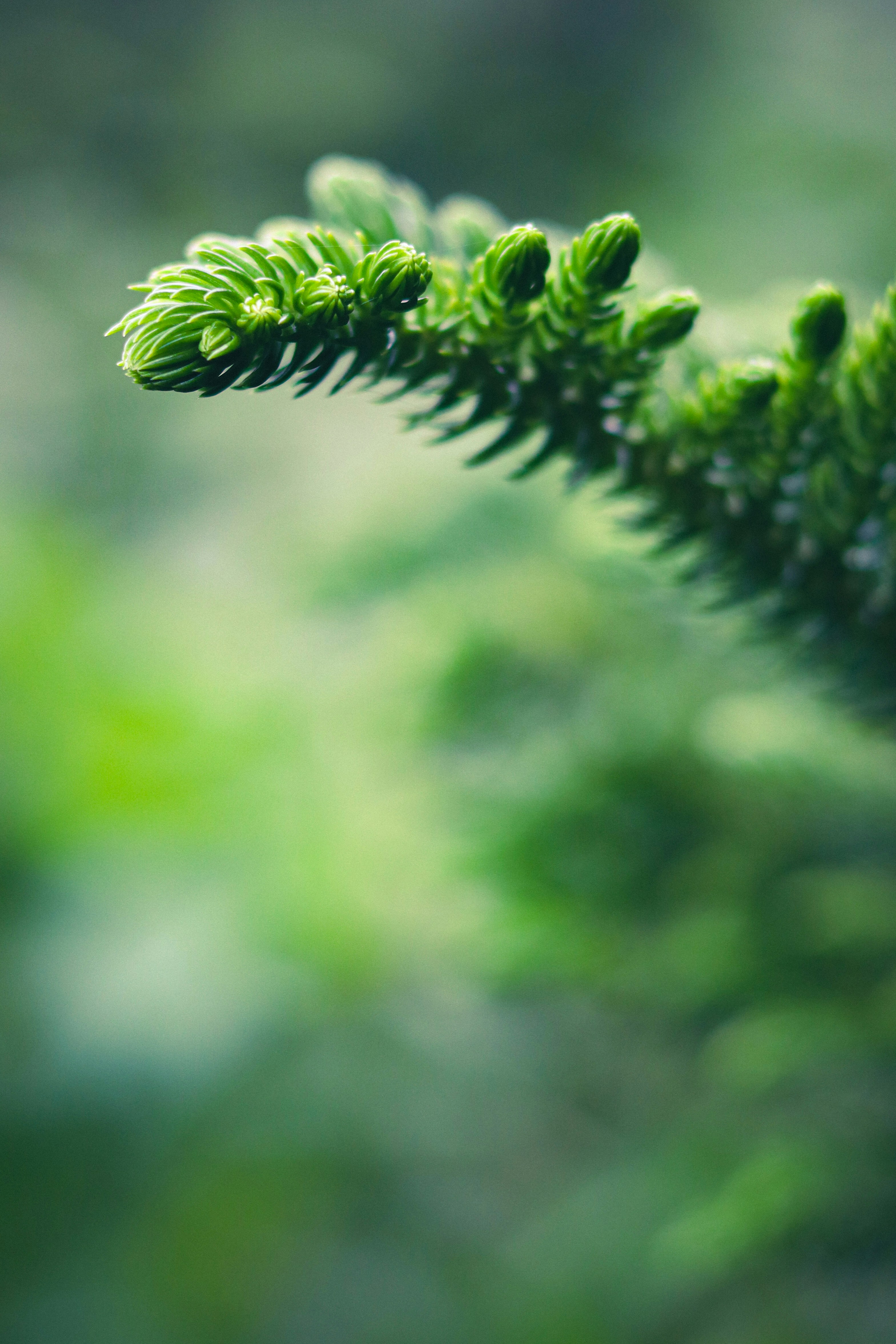 Photo by soonamwooeser