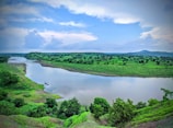 a river with a forest and a large body of water
