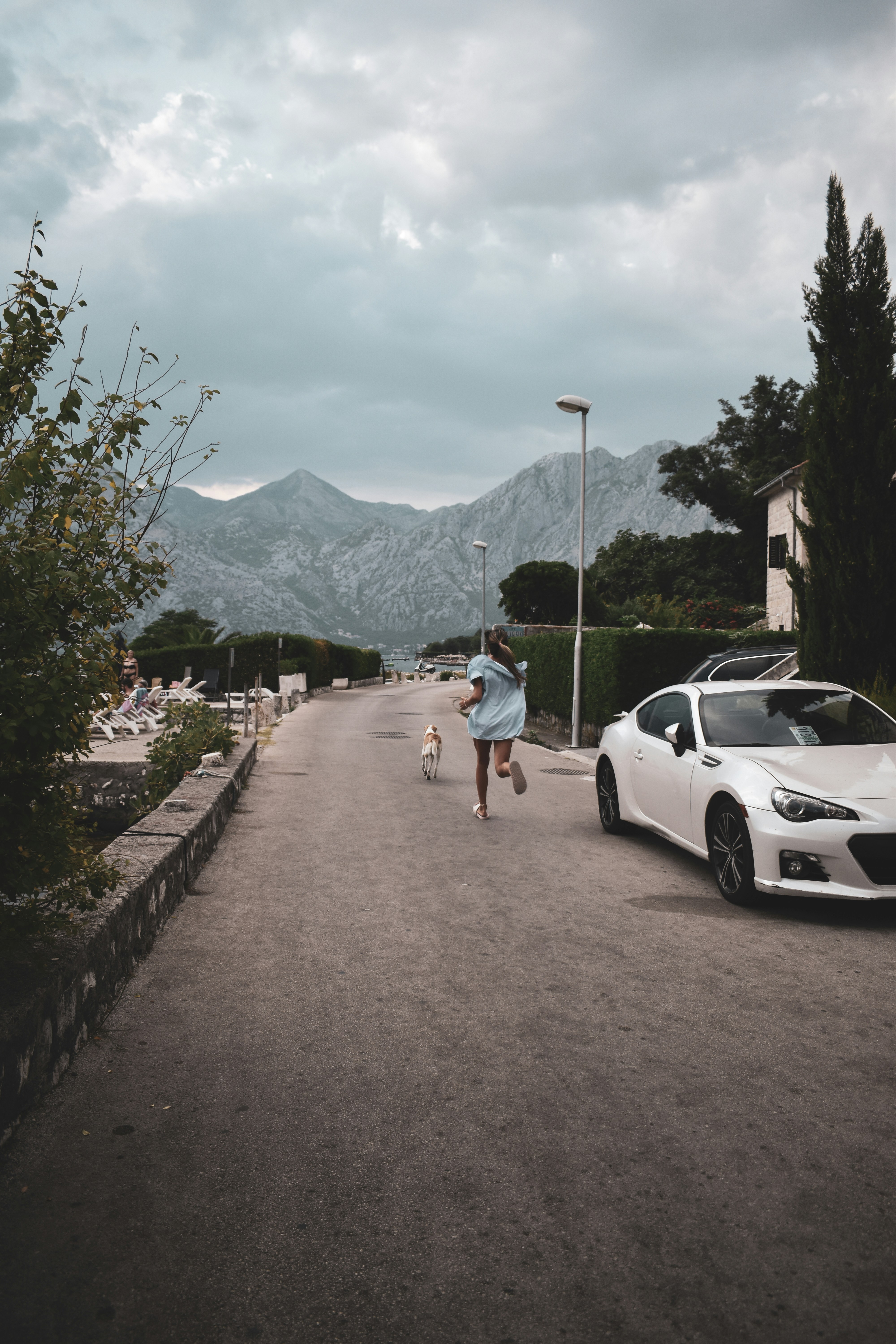 a person walking a dog on a road with cars and trees