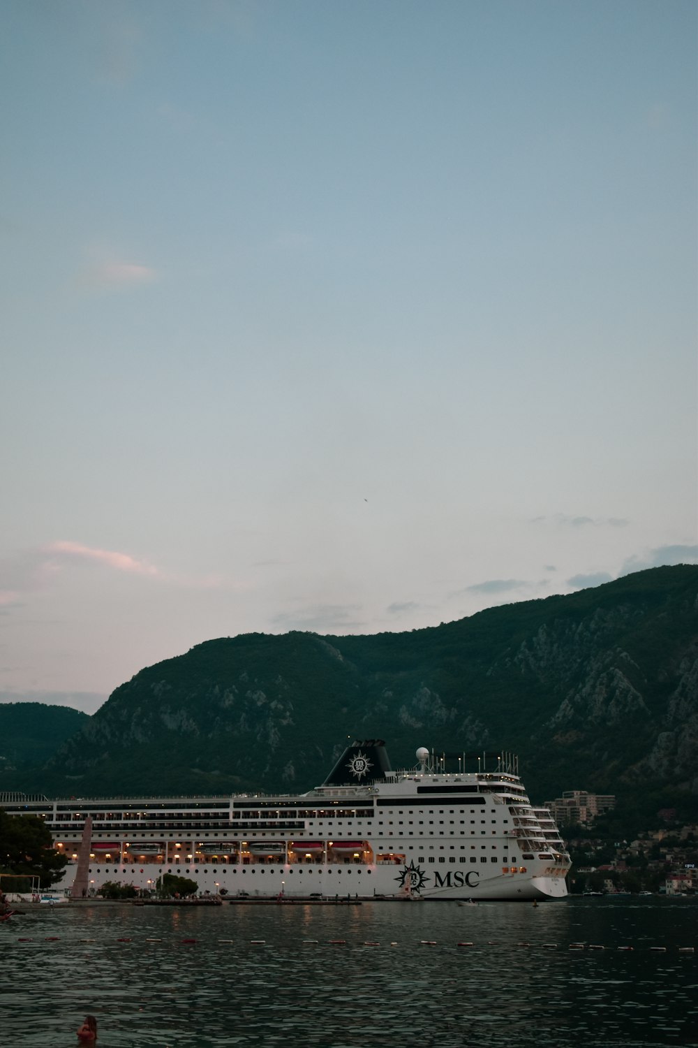 a large cruise ship in the water