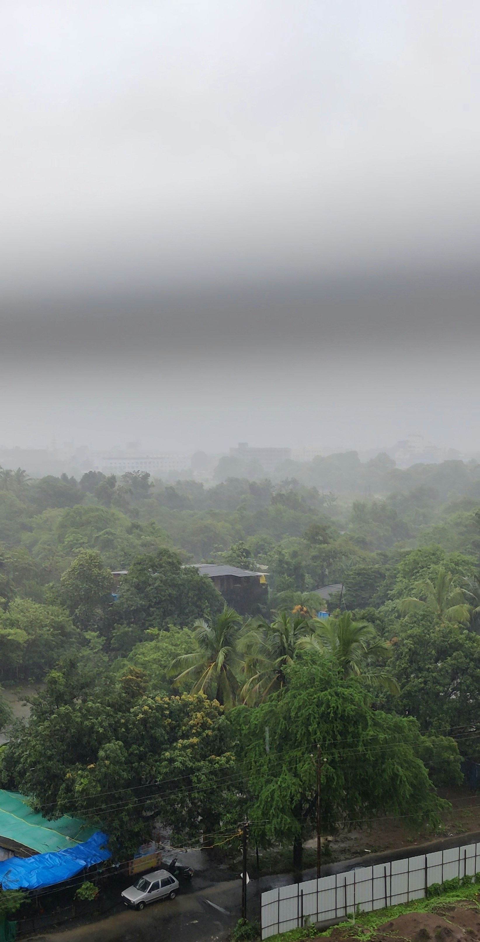 Photo by paliwalmuskan