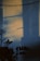 A wall is partially illuminated by warm natural light, creating strong shadows. A string of lights is draped at the top of the image, while the silhouette of a plant with broad leaves is visible in the lower left corner. The wall has a rough texture with some small holes and imperfections.