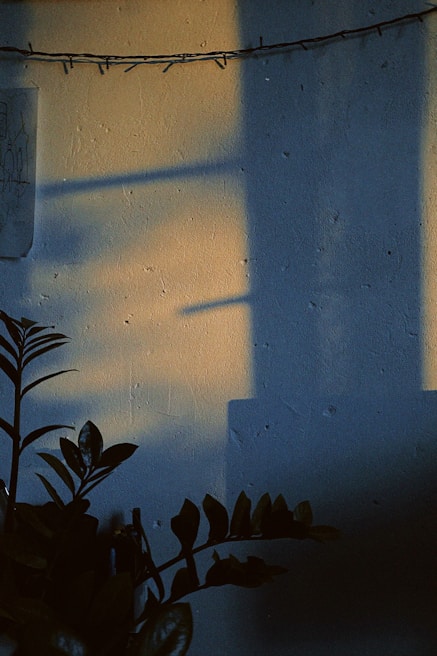Close-up of freshly painted living room walls with warm natural light