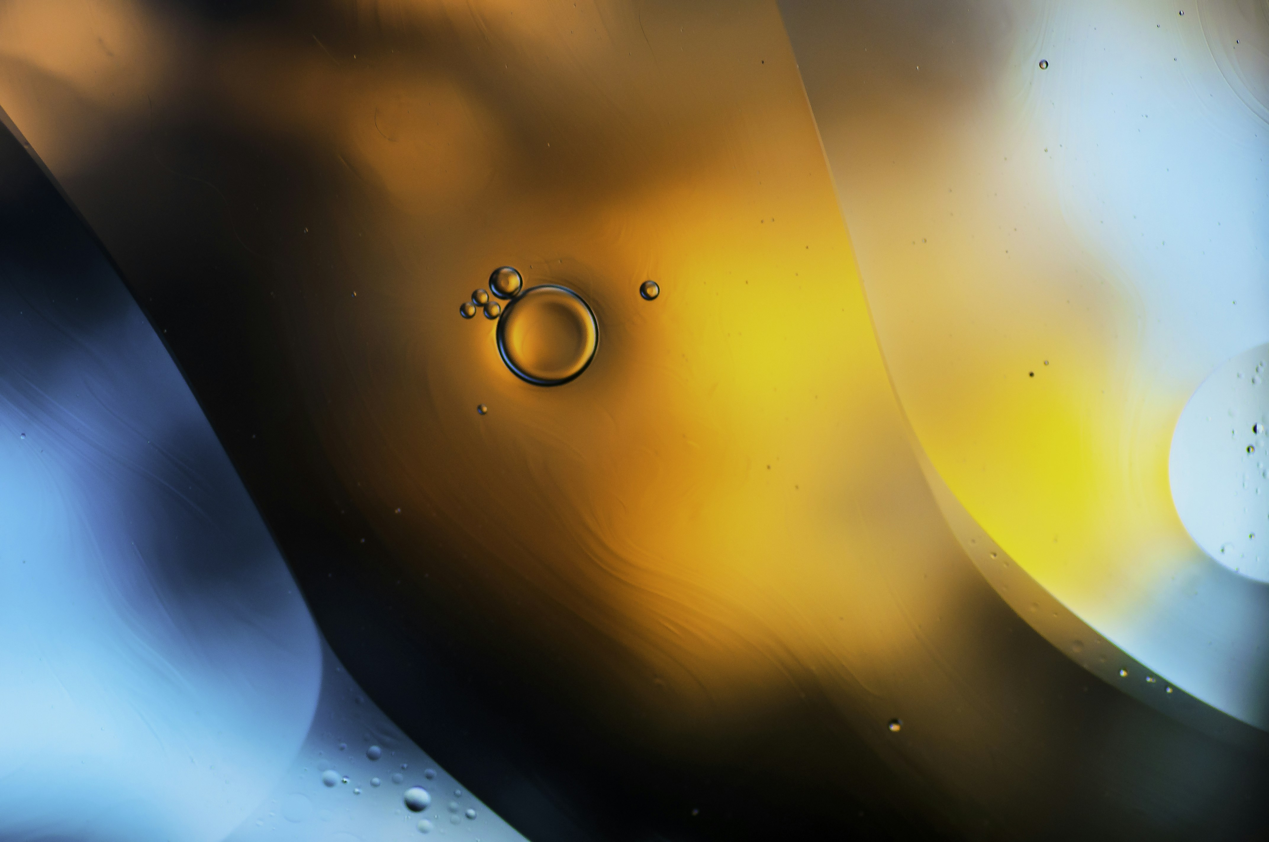 Photo by thom_oxford