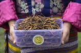 A person in colorful traditional clothing is holding a clear plastic container filled with caterpillar-like fungus, known as cordyceps. The intricate patterns on the garment include floral and geometric designs, featuring vibrant colors such as pink, blue, and green.