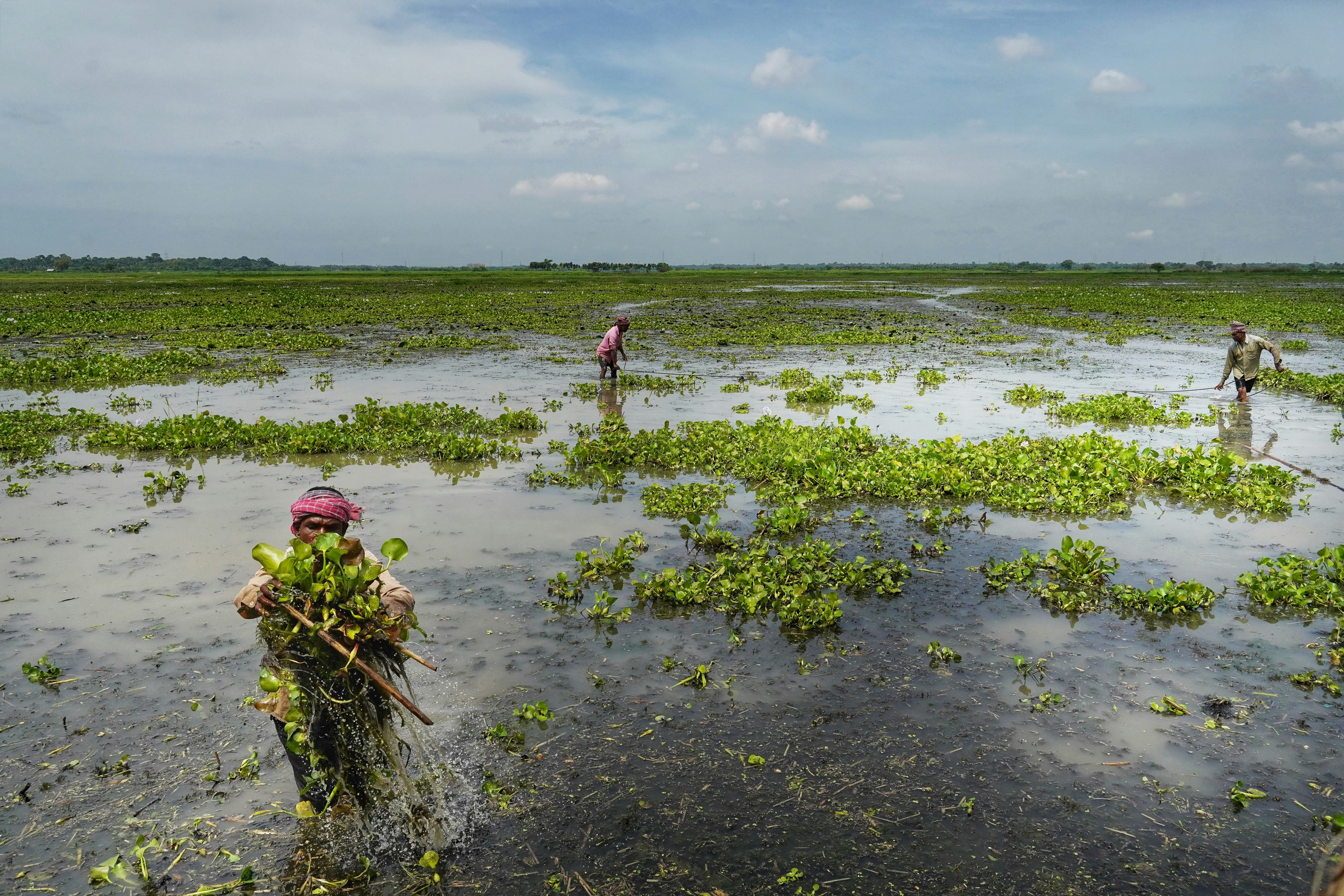 Photo by dibakar16roy