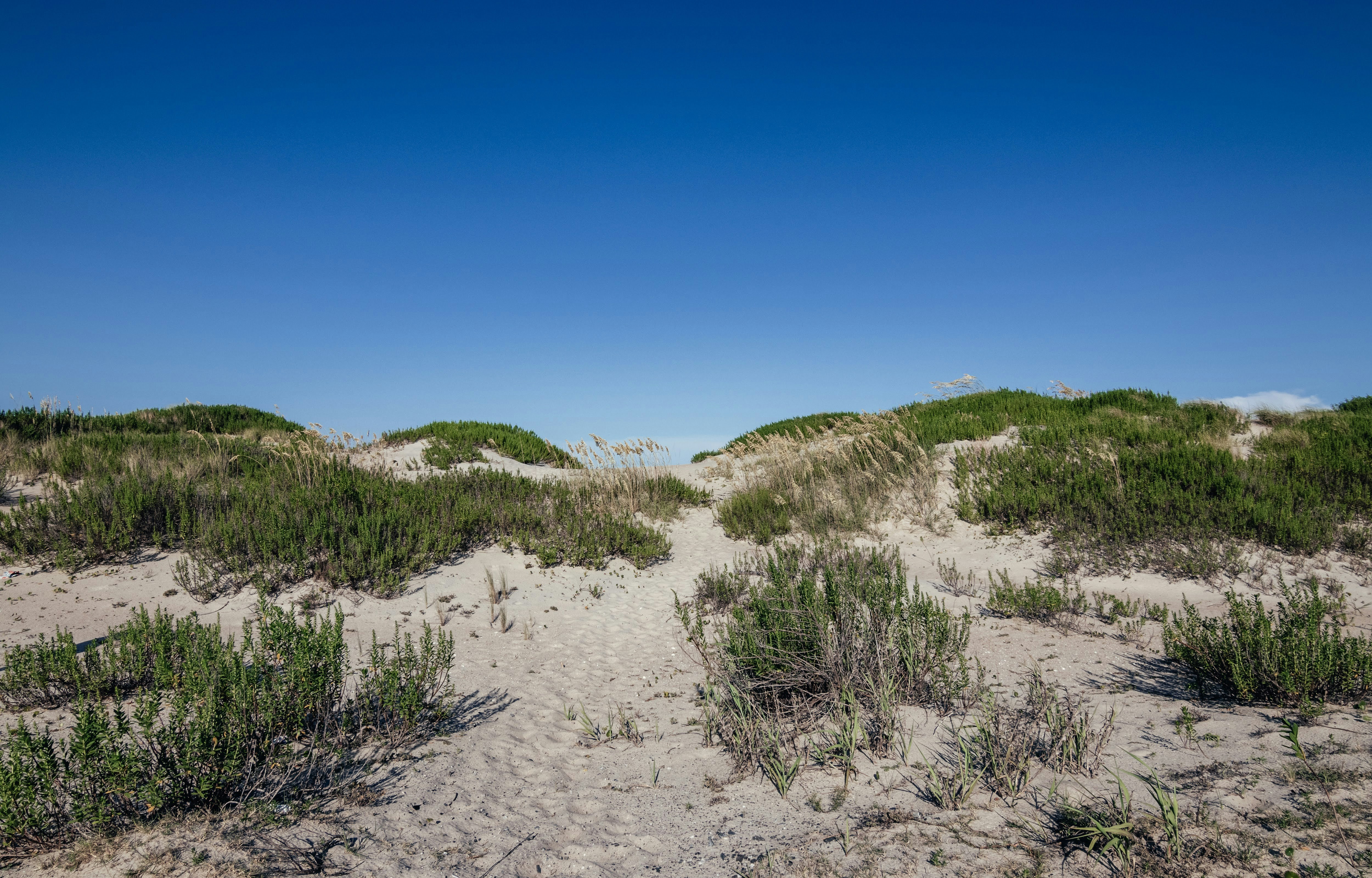 Photo by brice_cooper18