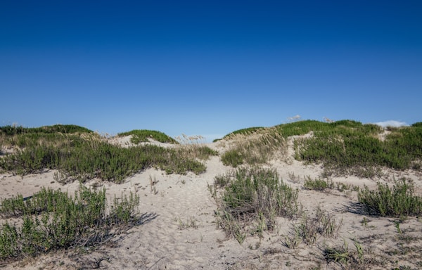 Croatan gated beachside community with ocean views