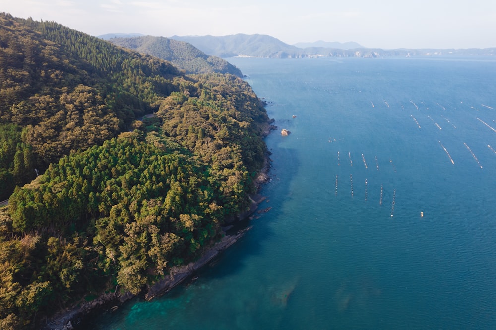 a body of water with trees and hills around it