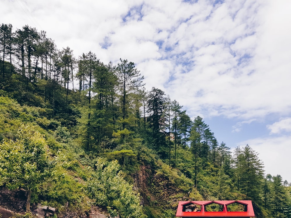 a red car driving through a forest