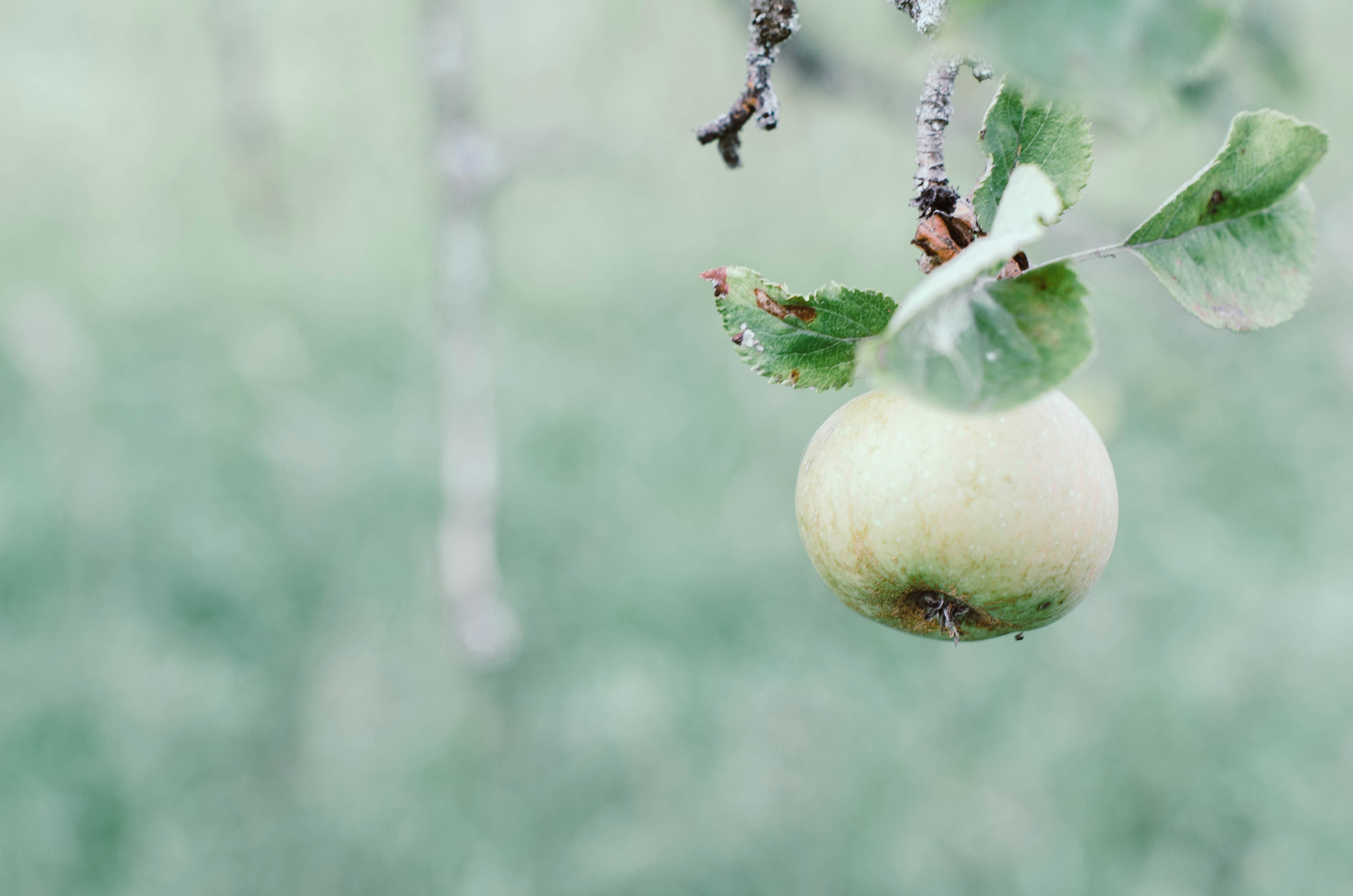 Photo by nika_benedictova