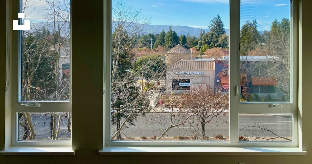 A window with trees outside photo – Free Outdoor Image on Unsplash