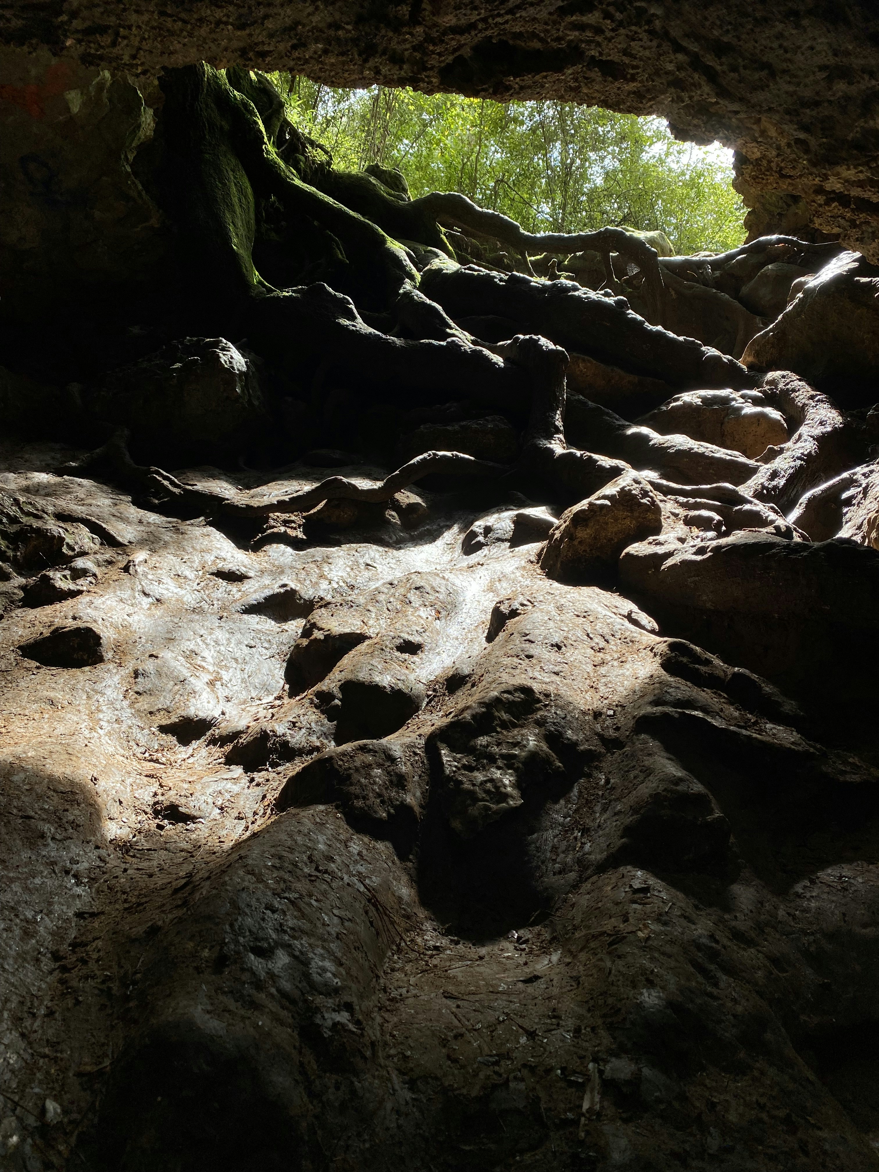 Photo by 7angles_photography