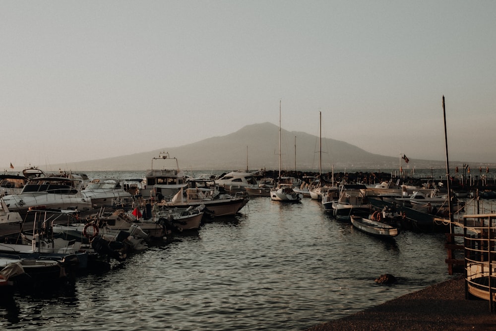 a harbor full of boats