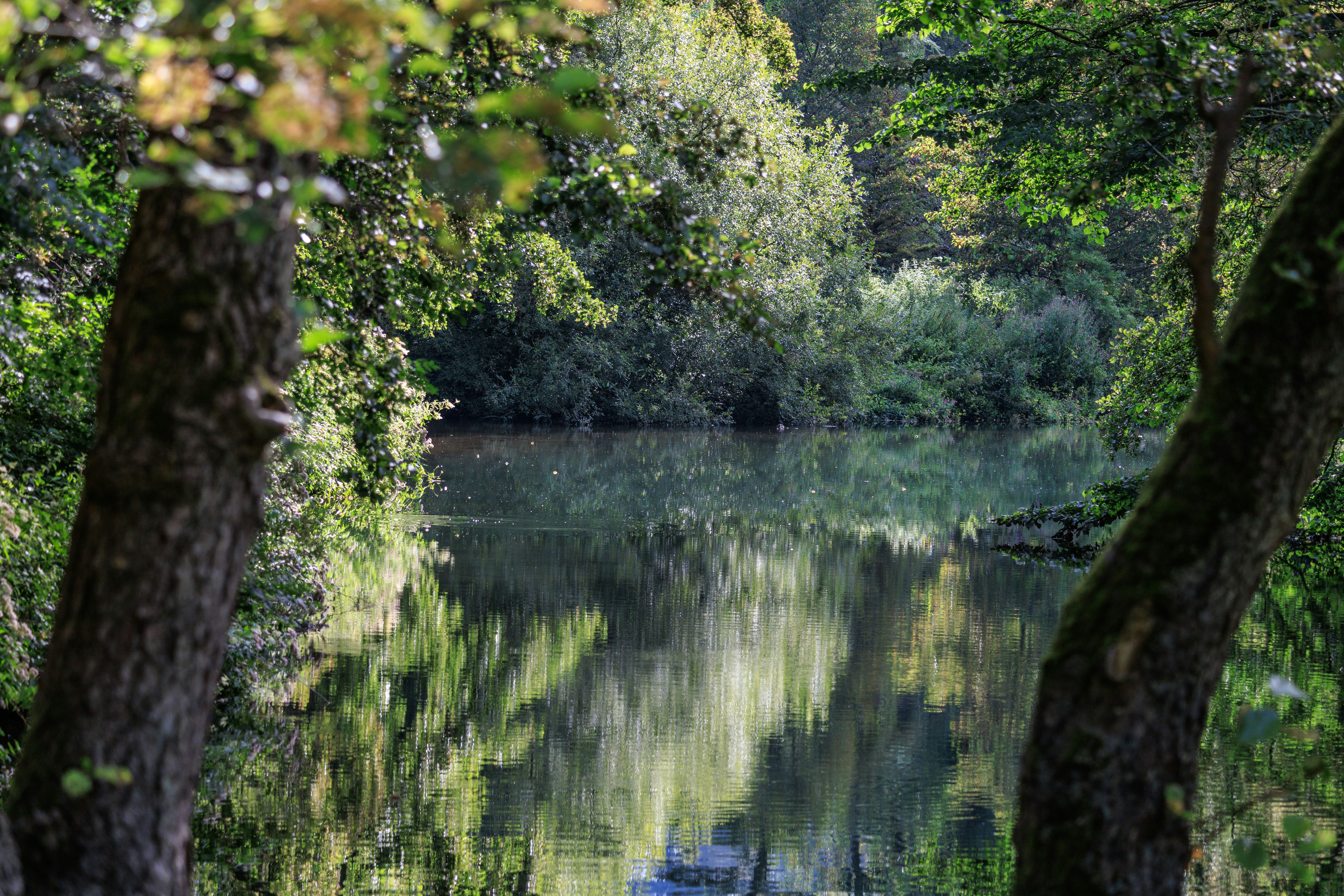 Photo by grievek1610begur