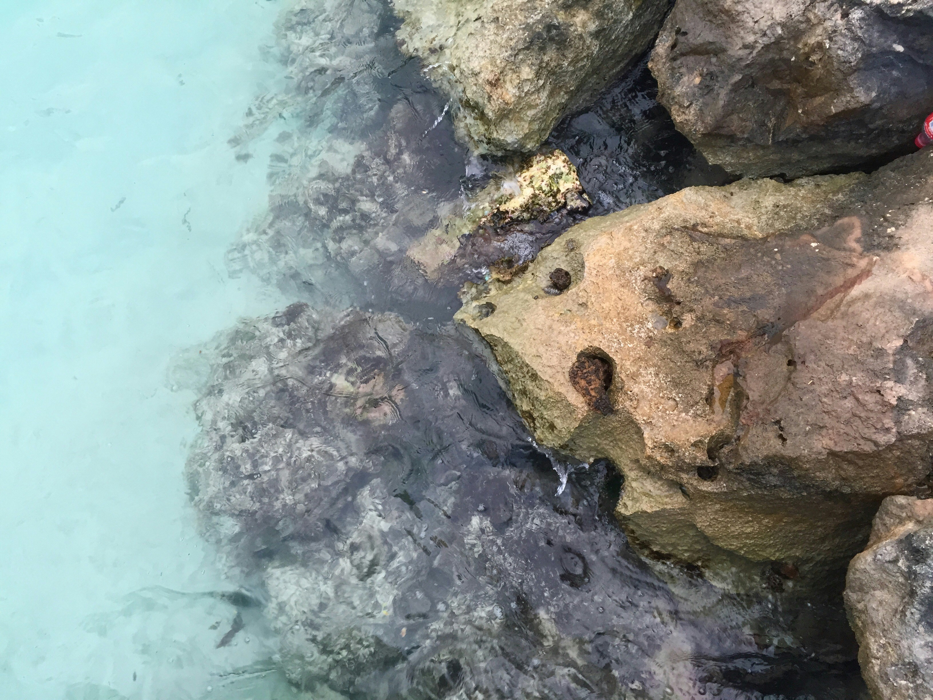 Aruba Beach Pictures | Download Free Images on Unsplash