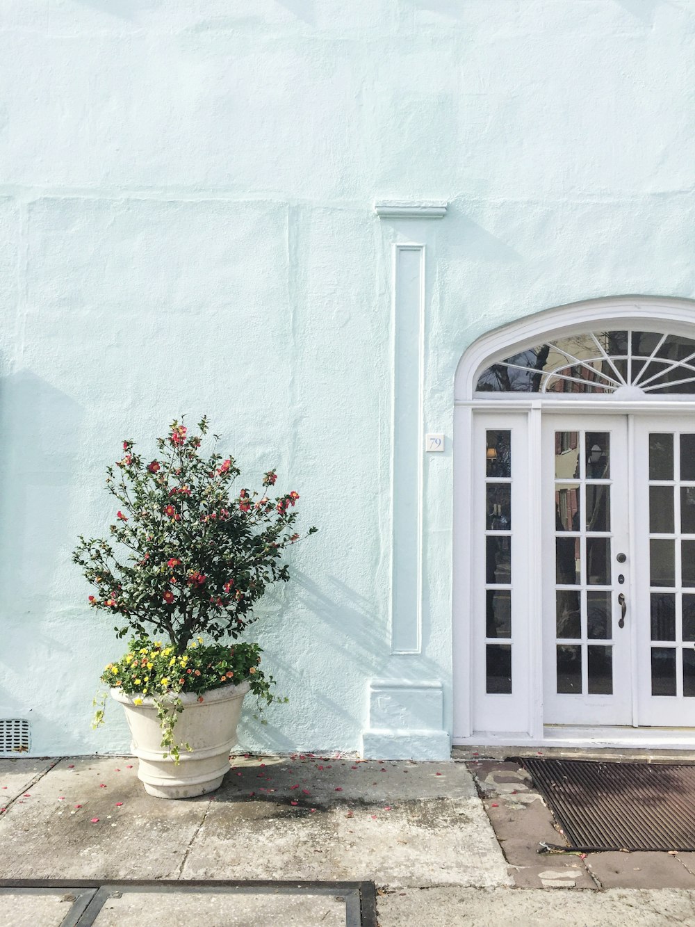 a couple of potted plants outside a building